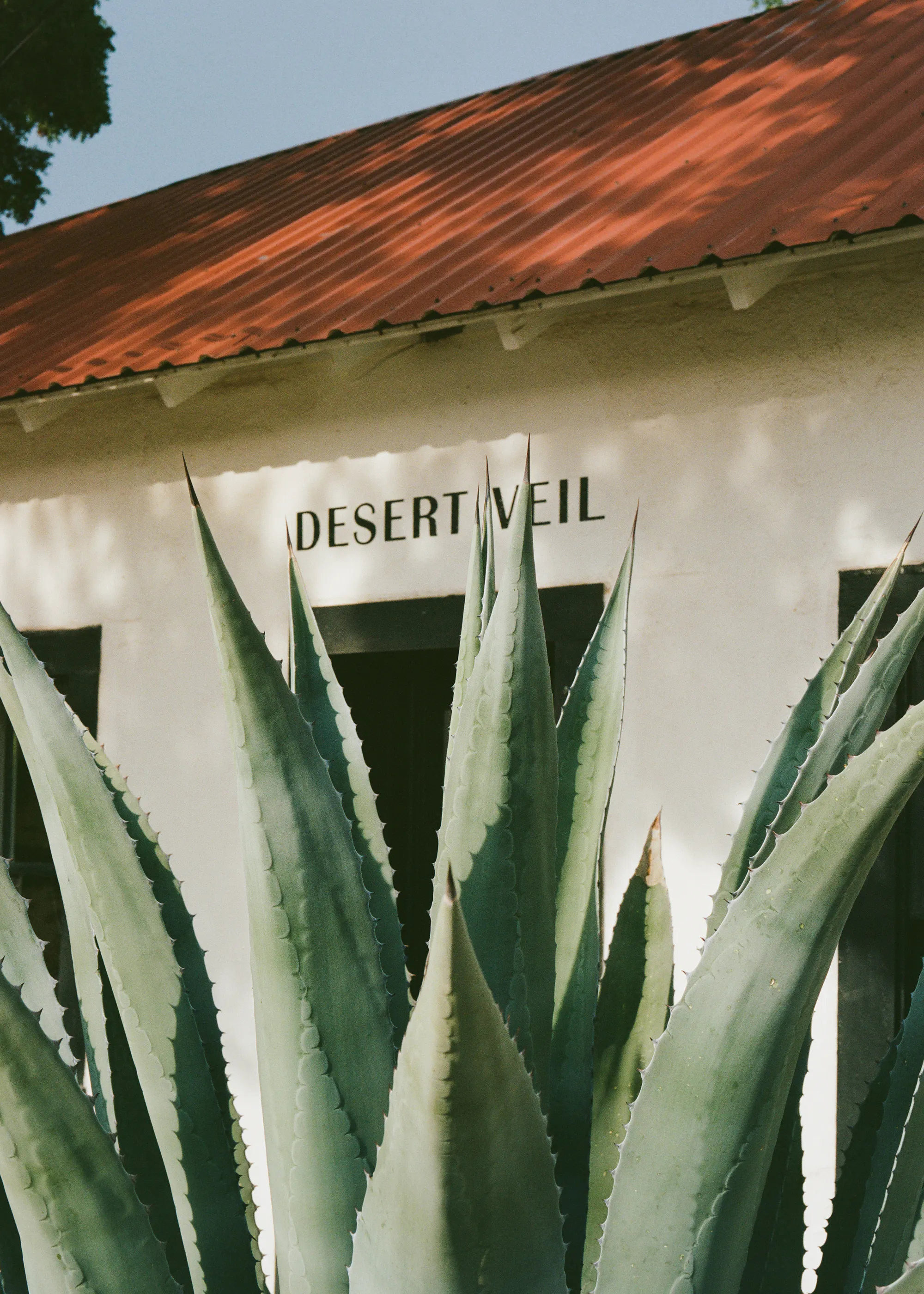 Desert Veil Poster 0