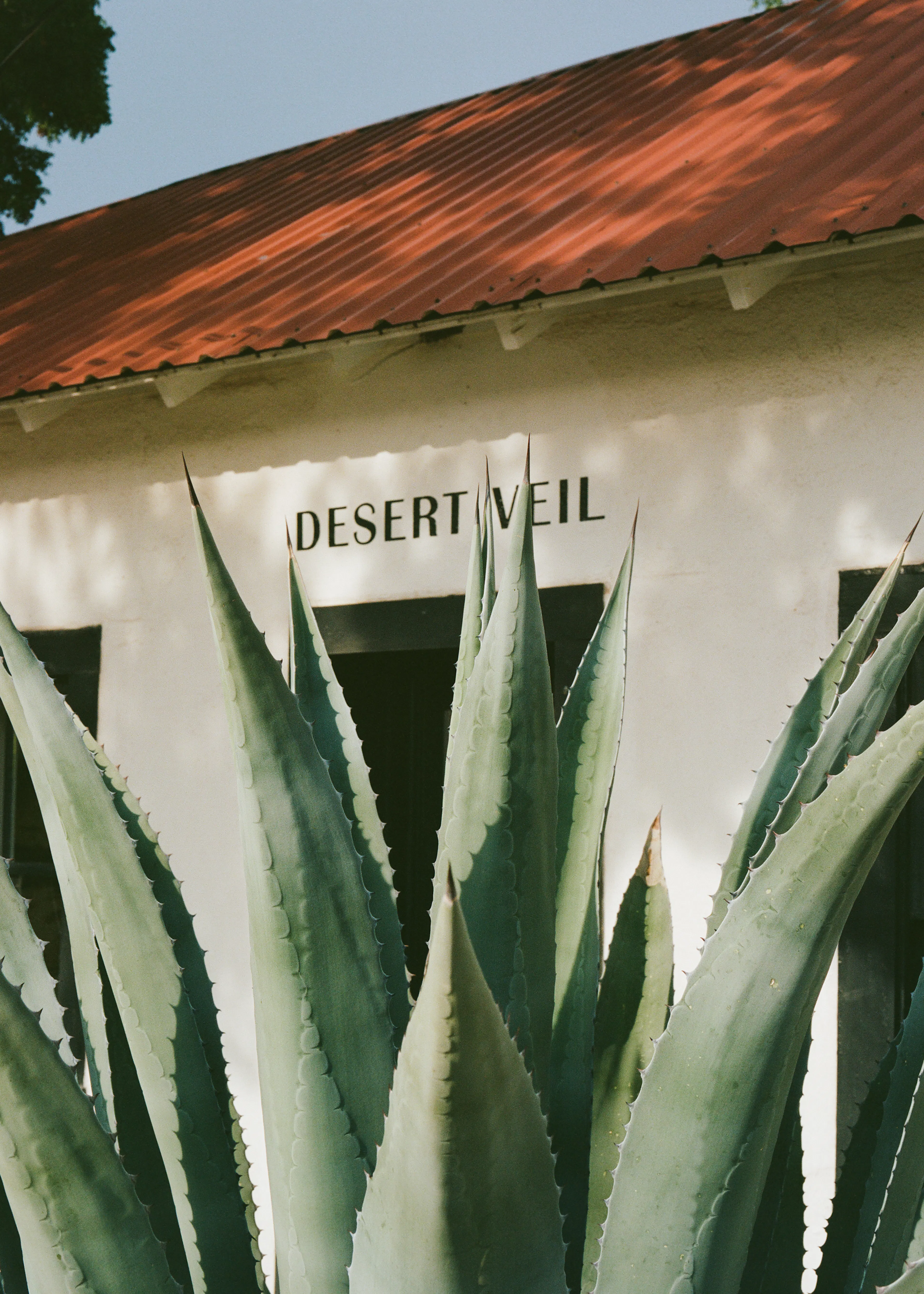 Desert Veil Poster 0