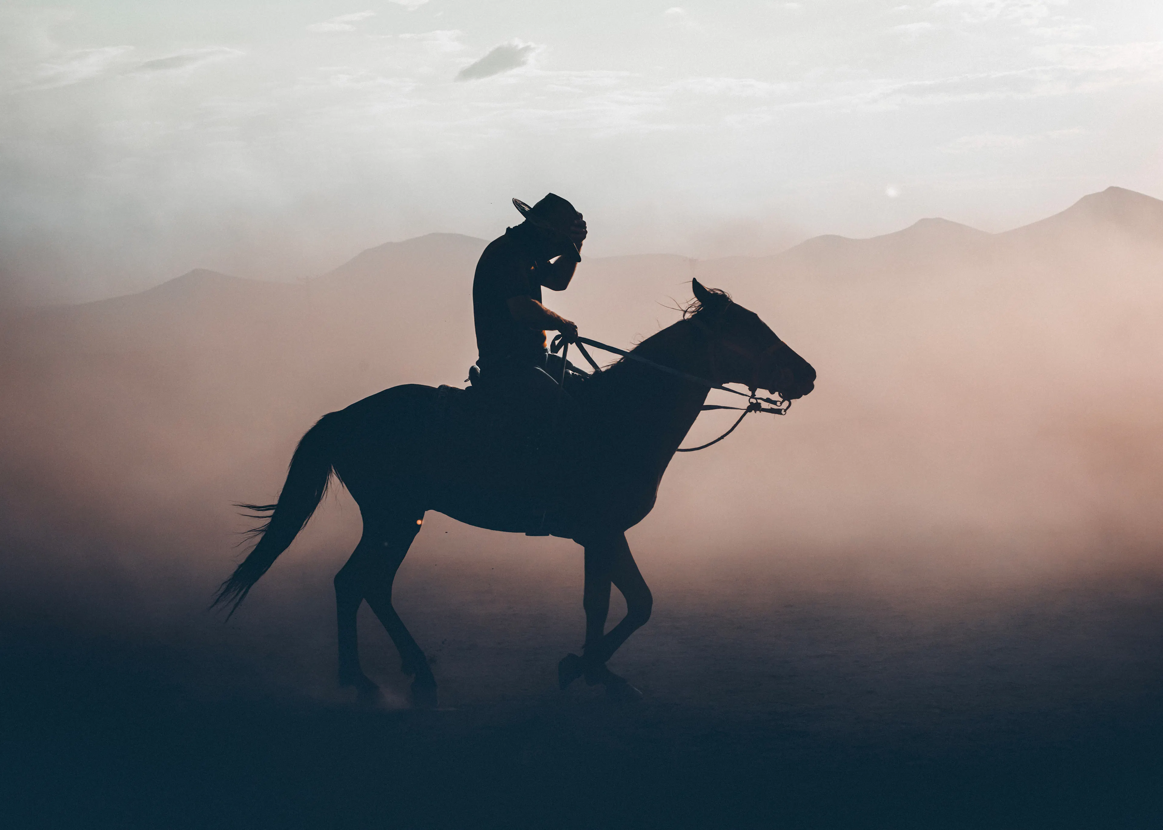 Cowboy Silhouette Poster 0