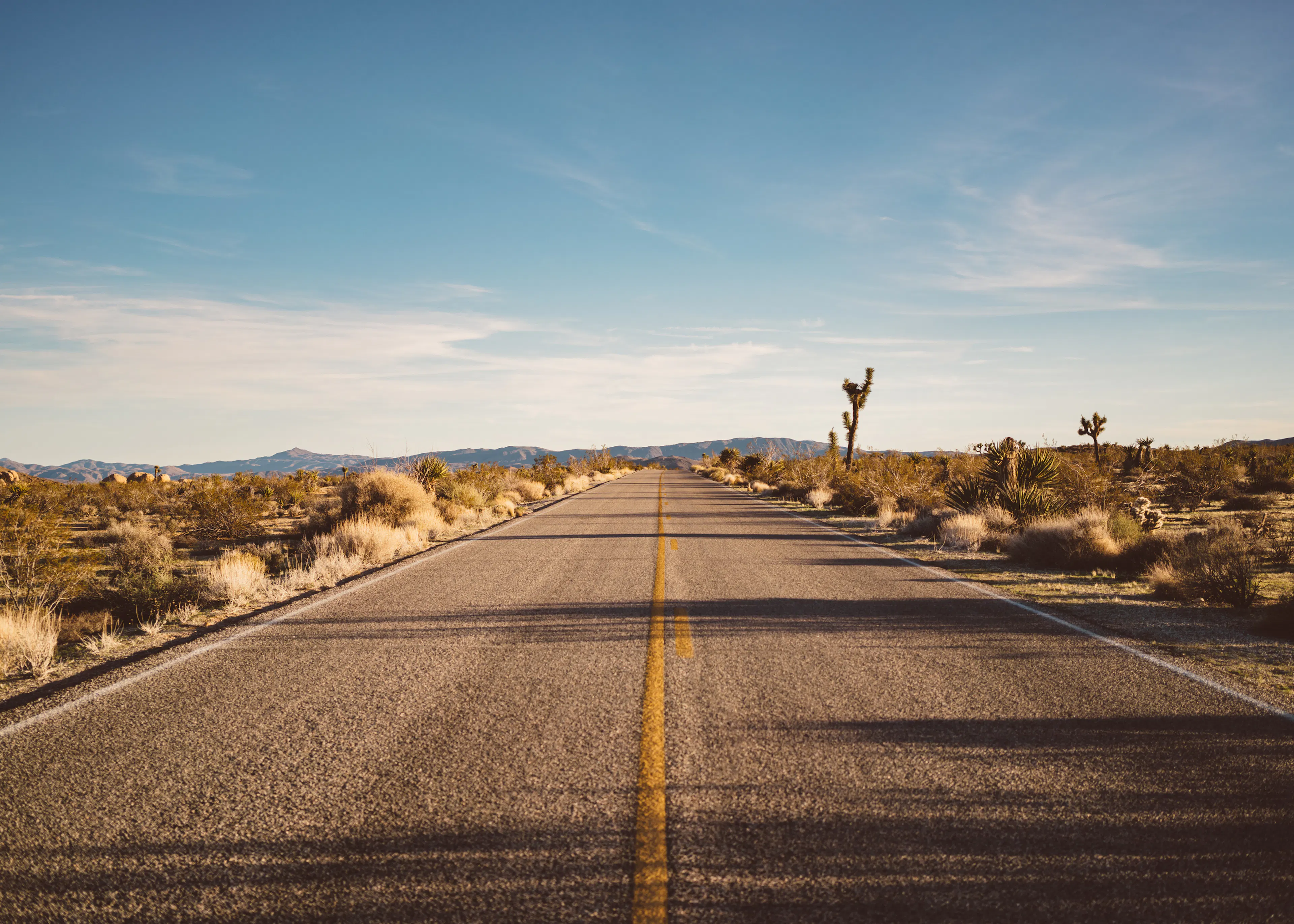 Desert Highway Poster 0