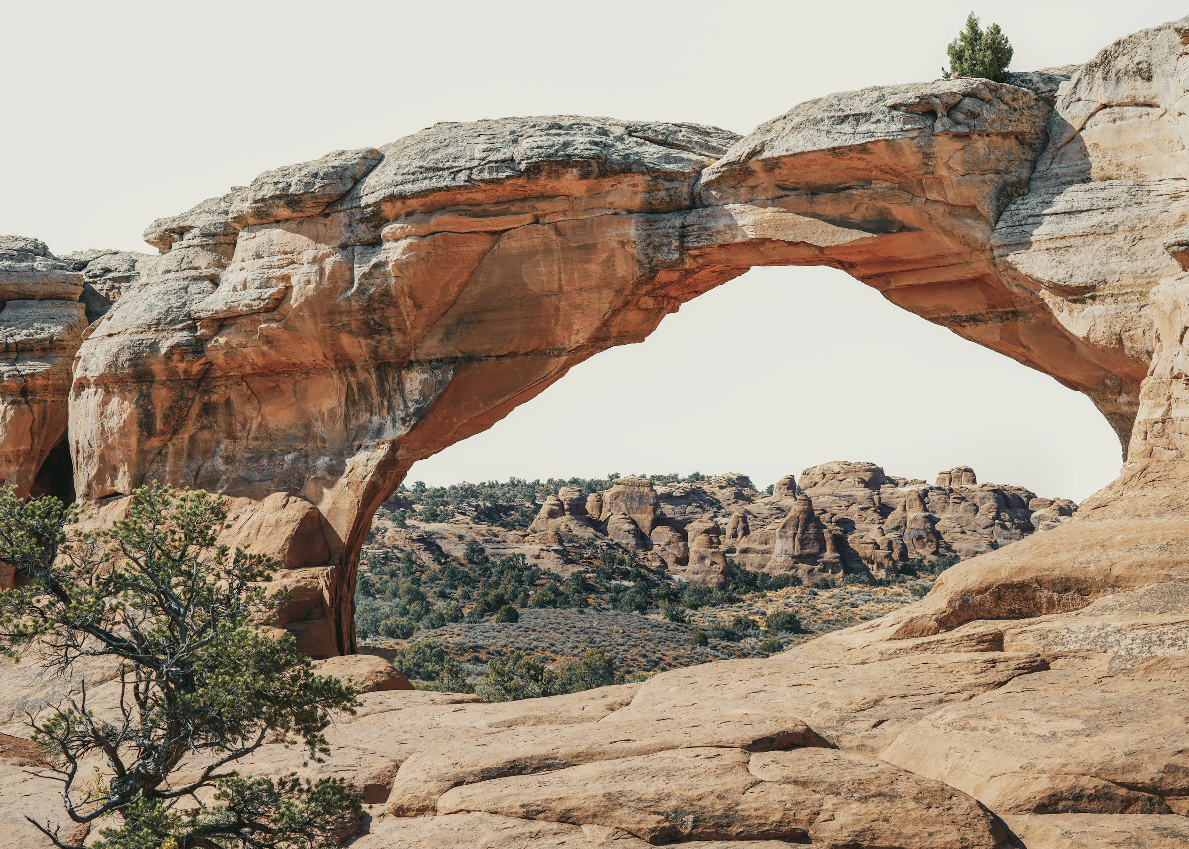 Desert Arch Poster 0