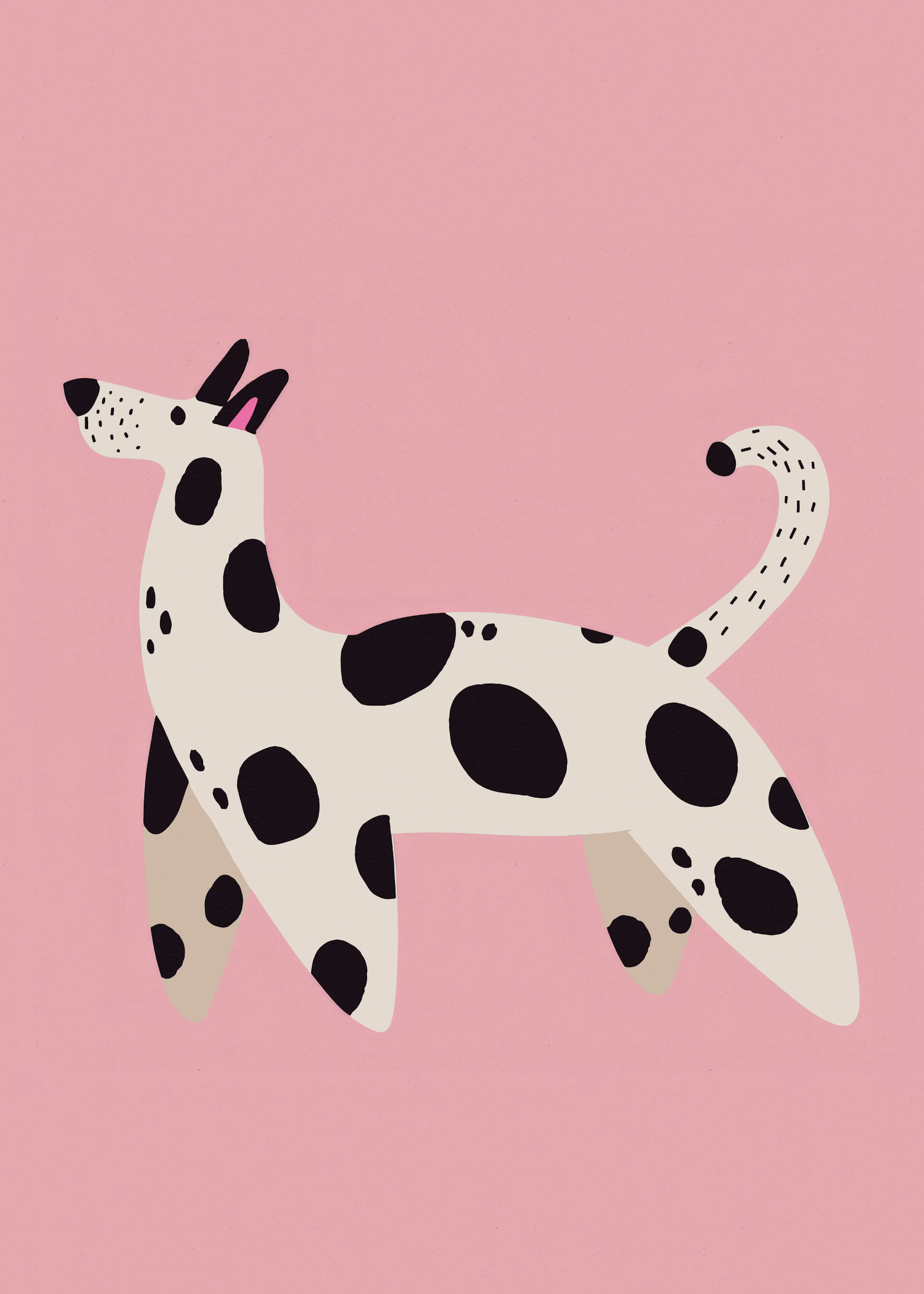 Spotted Dog Poster 0