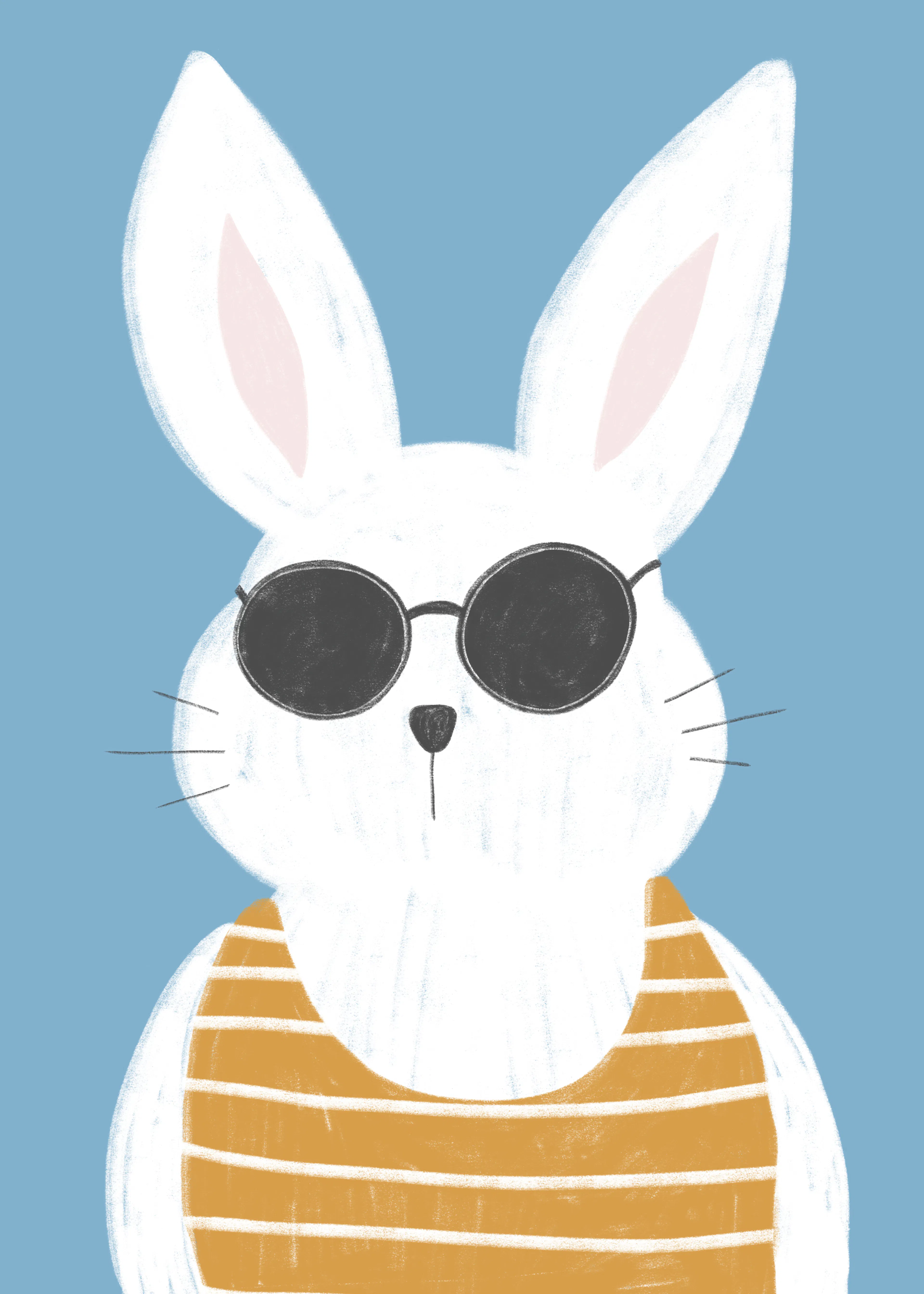 Cool Bunny Poster 0