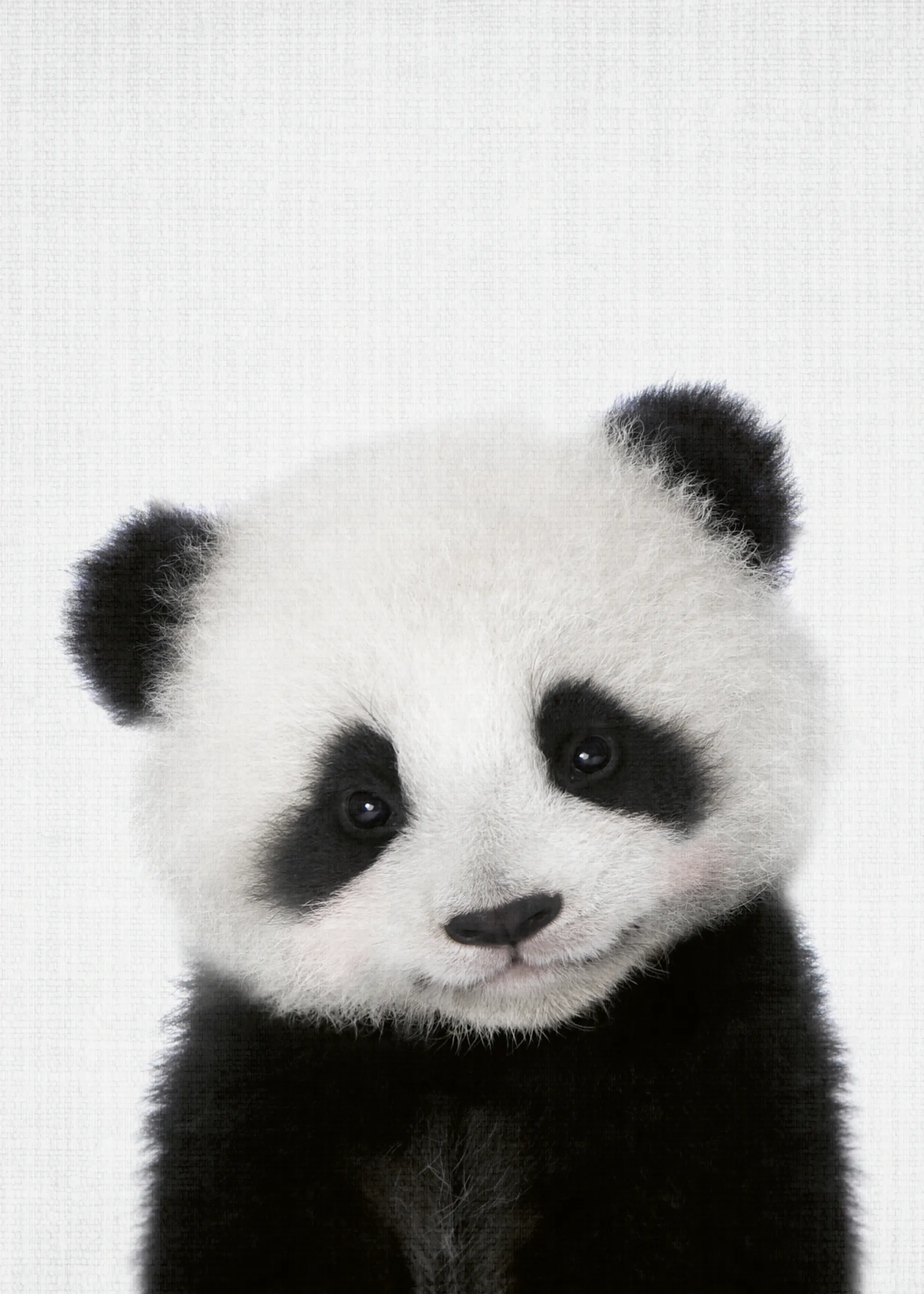 Panda Charm Poster 0
