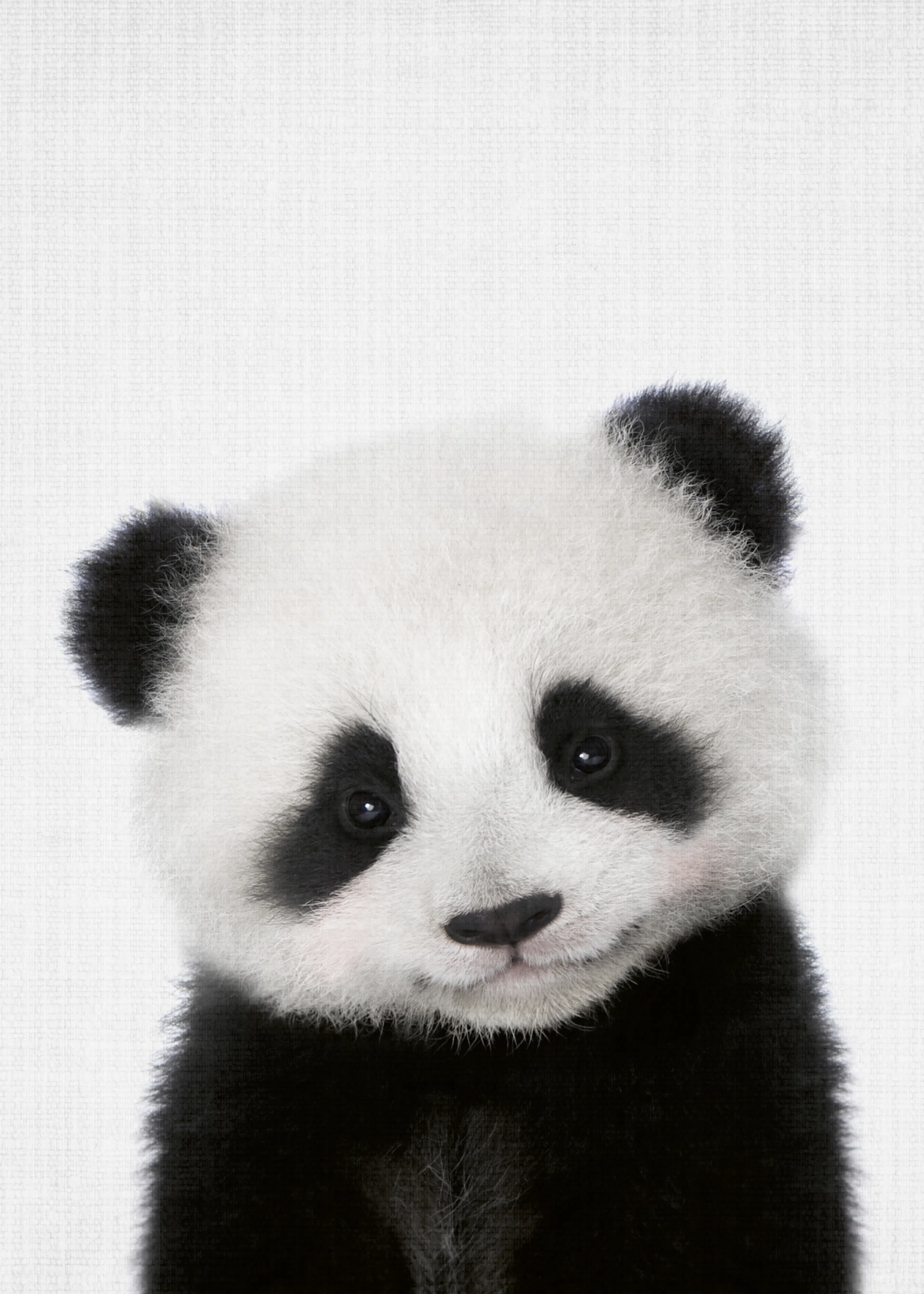 Panda Charm Poster 0