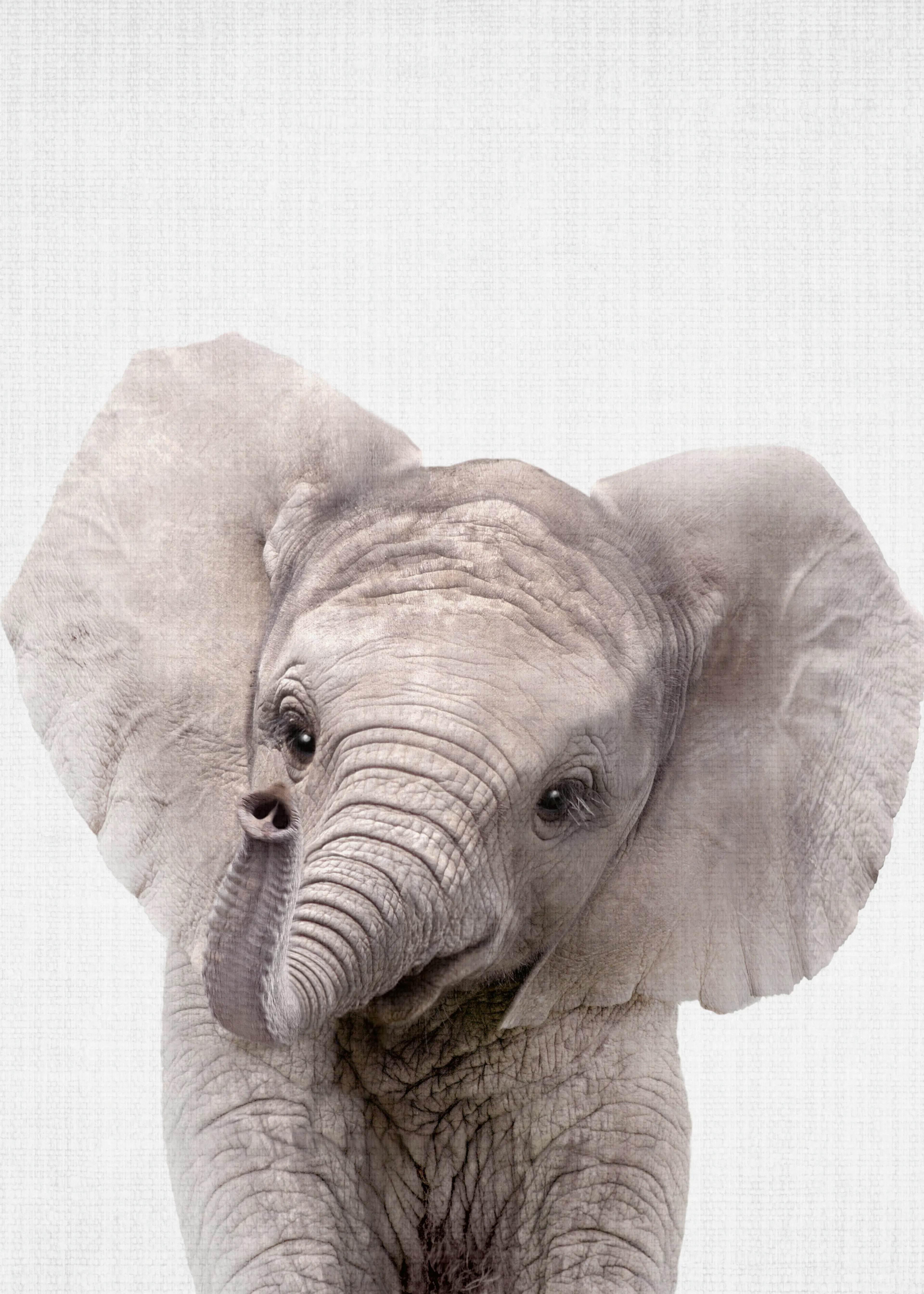 Elephant Charm Poster 0