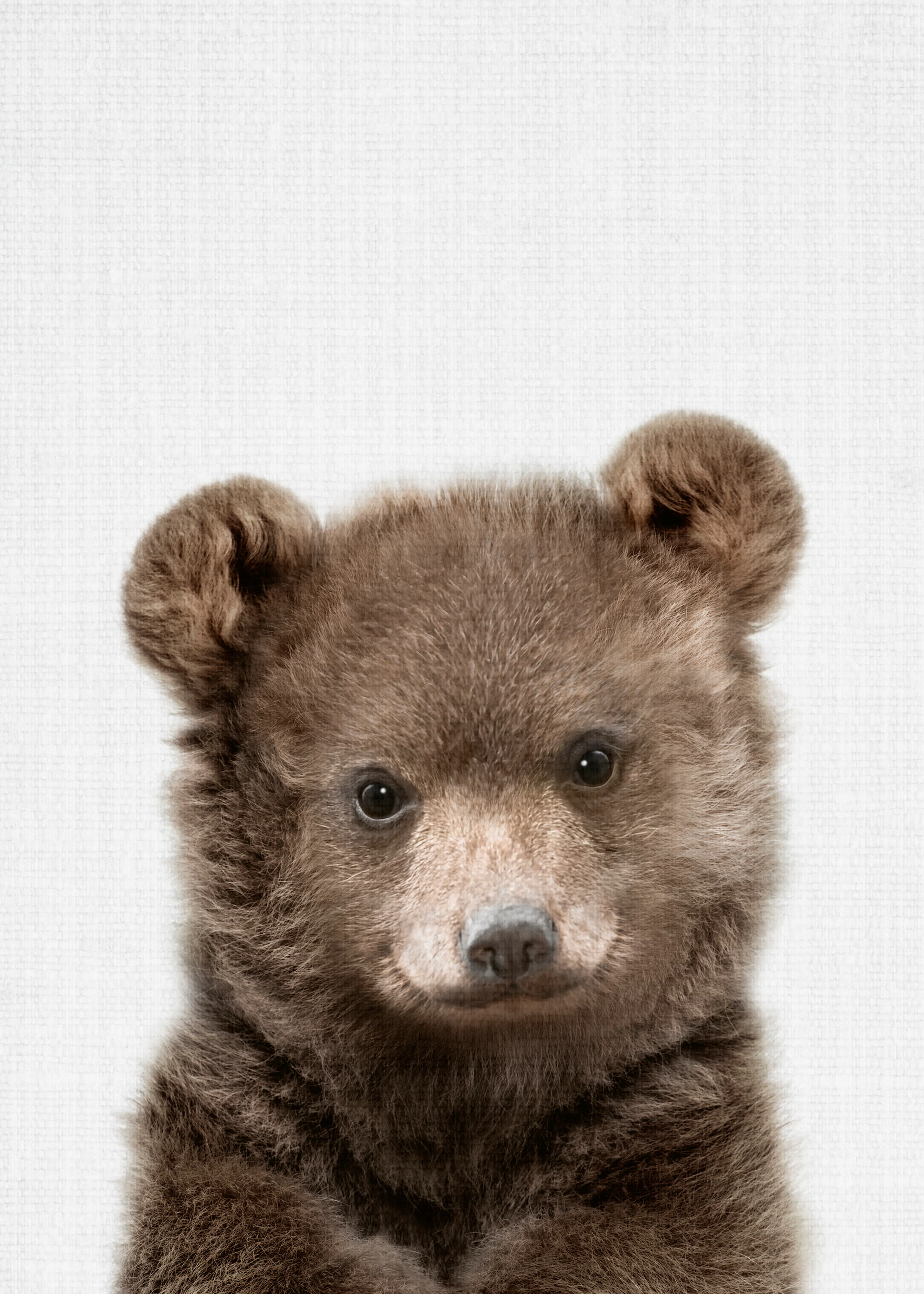Bear Cub Poster 0