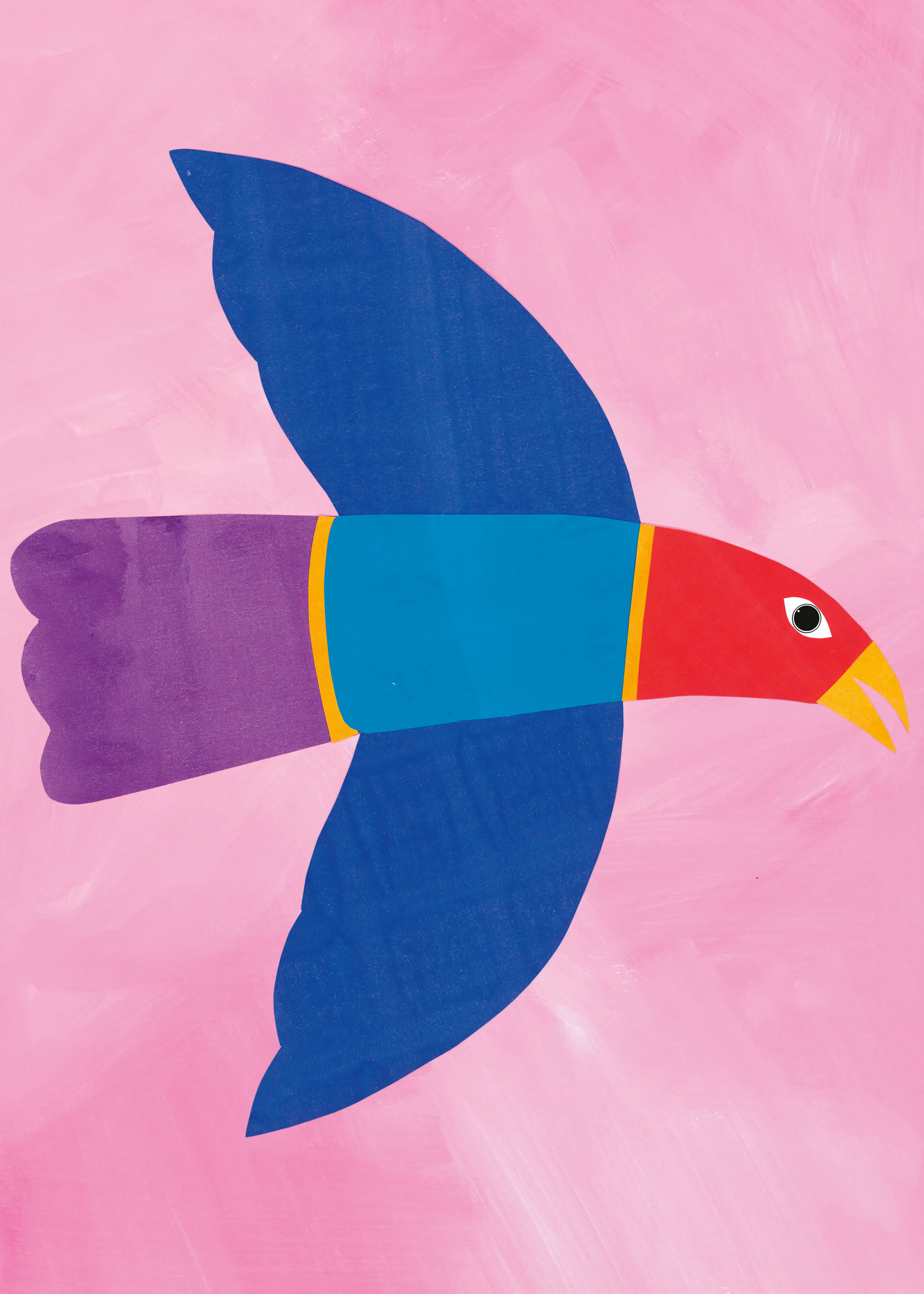 Colorful Toucan Poster 0
