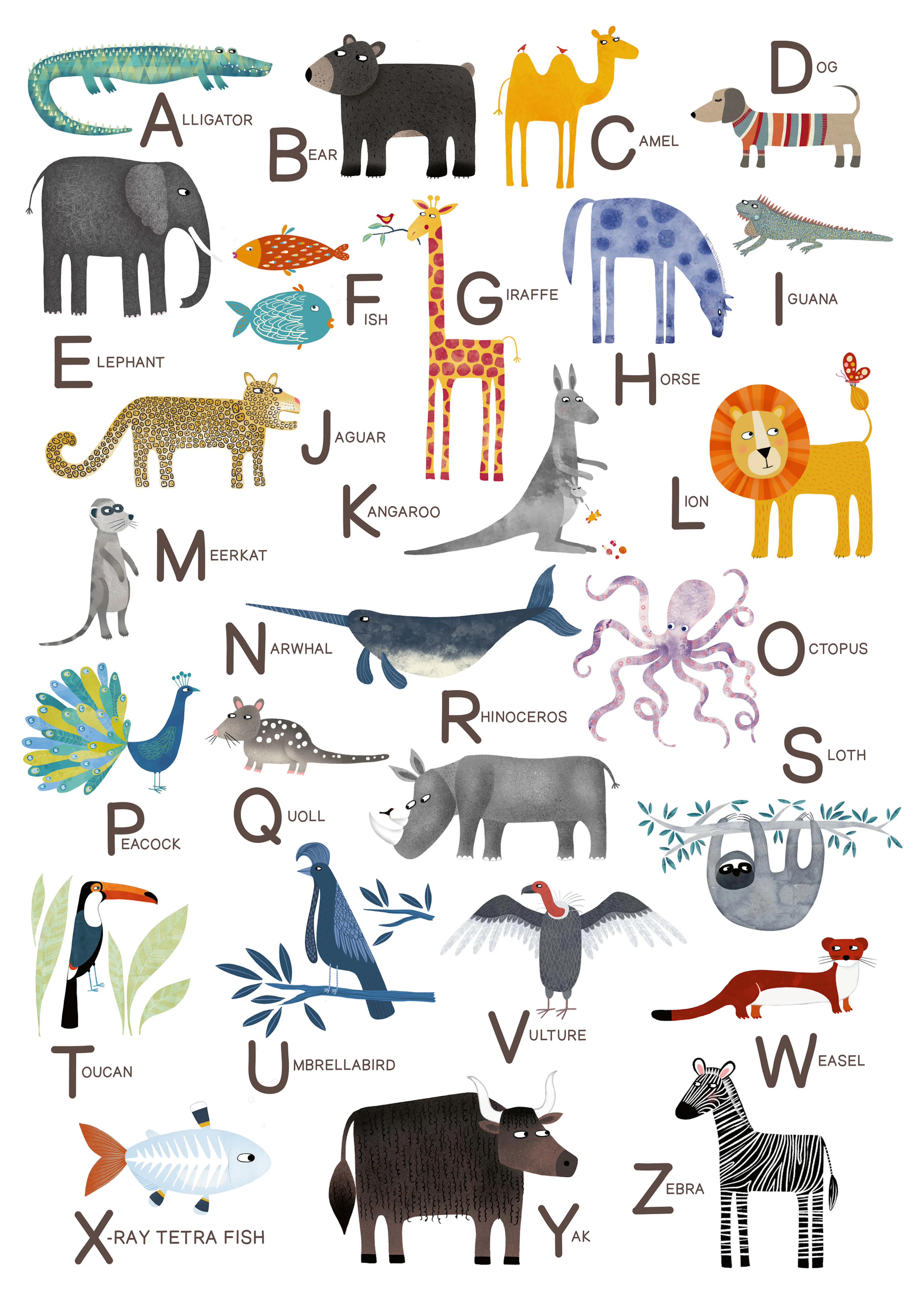 Orange Animal Alphabet Poster 0