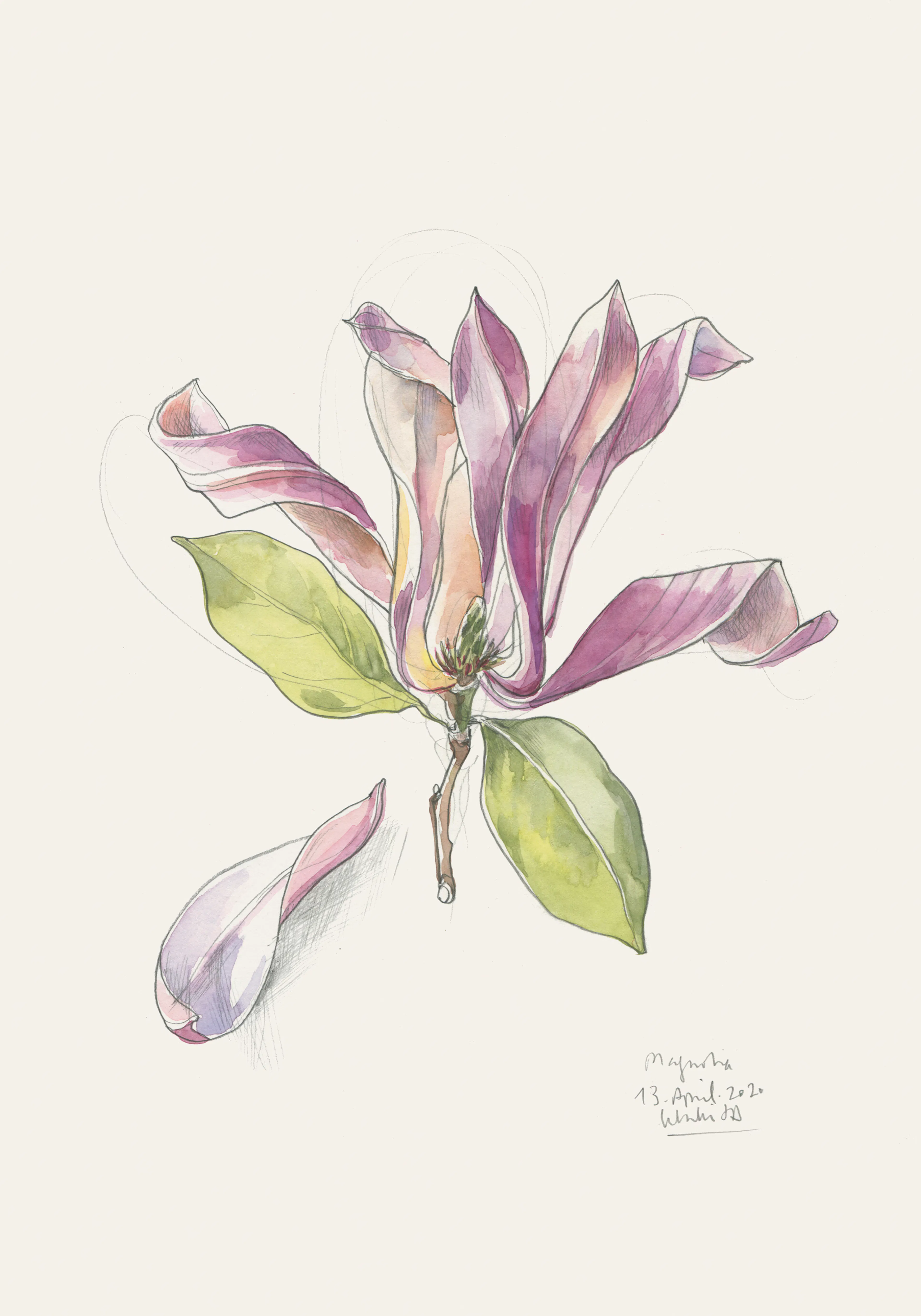 Product image: 1