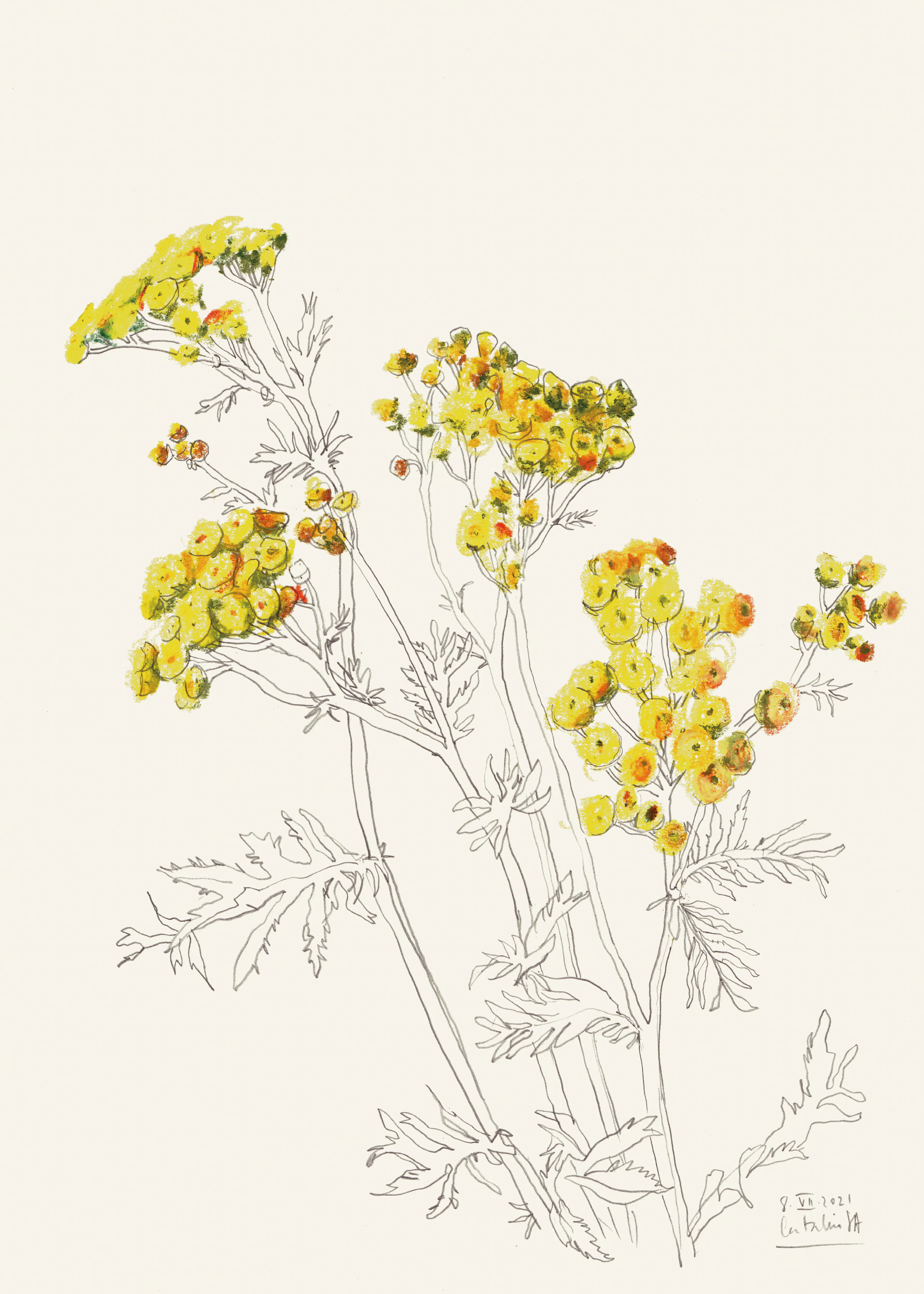 Wildflower Elegance Poster 0