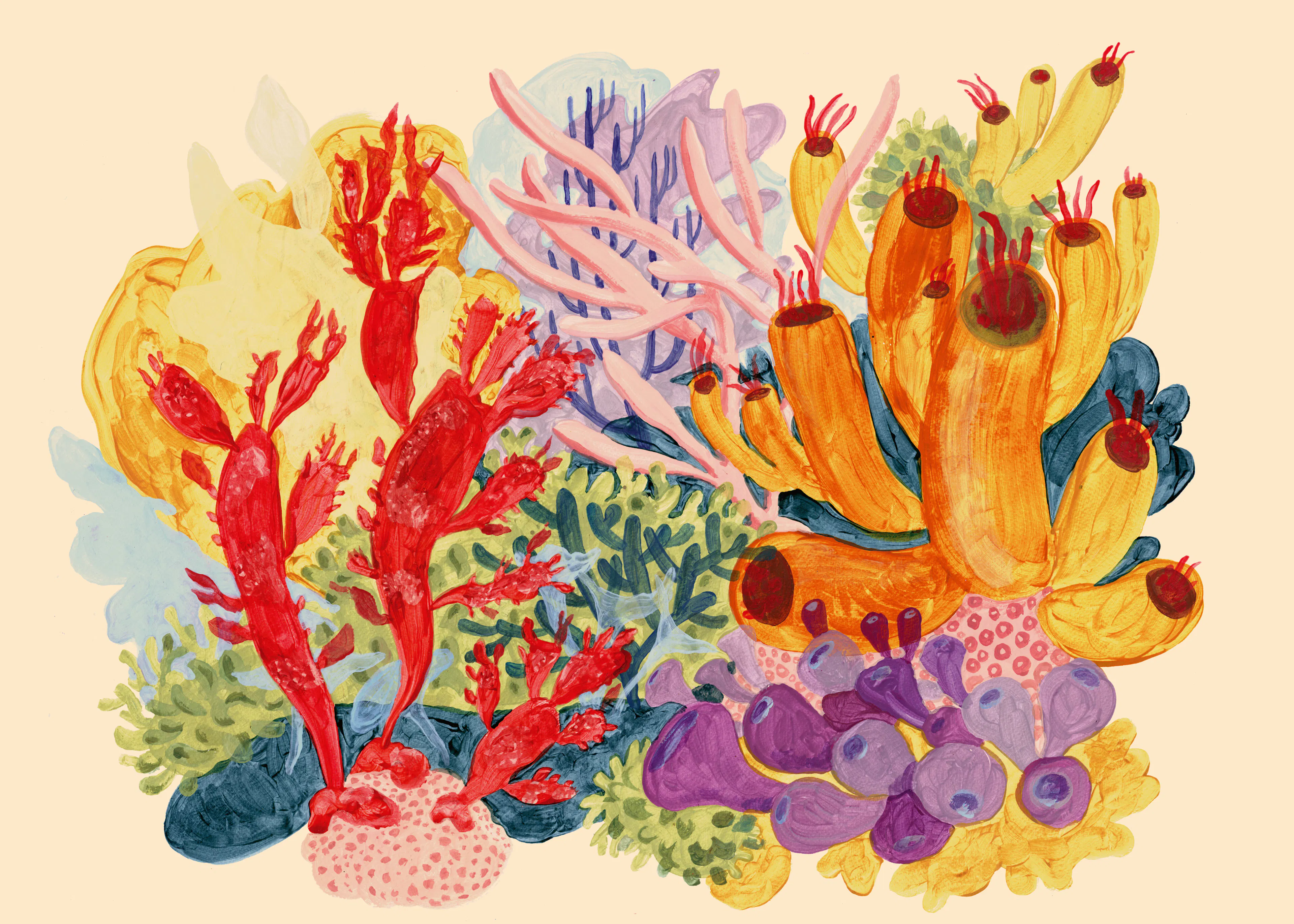 Coral Bloom Poster 0