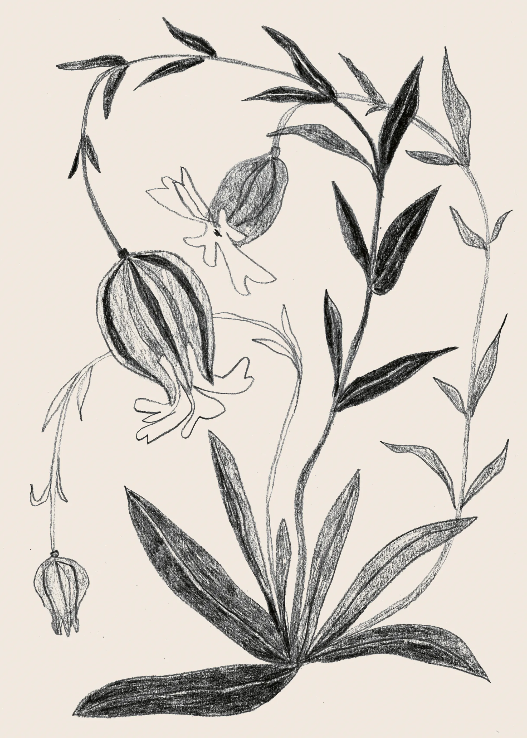 Black Botanical Elegance Poster 0
