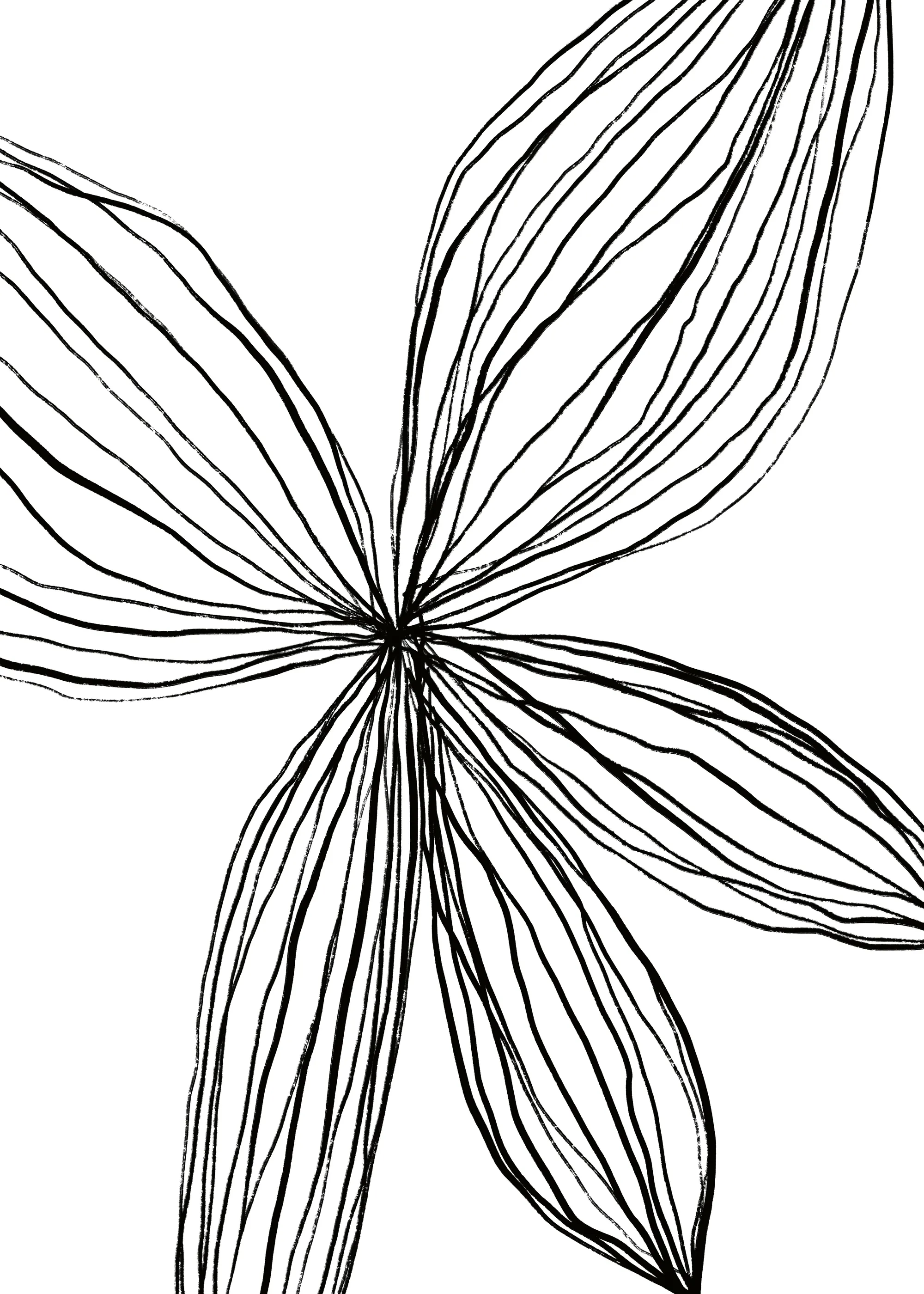 Black Floral Elegance Poster 0
