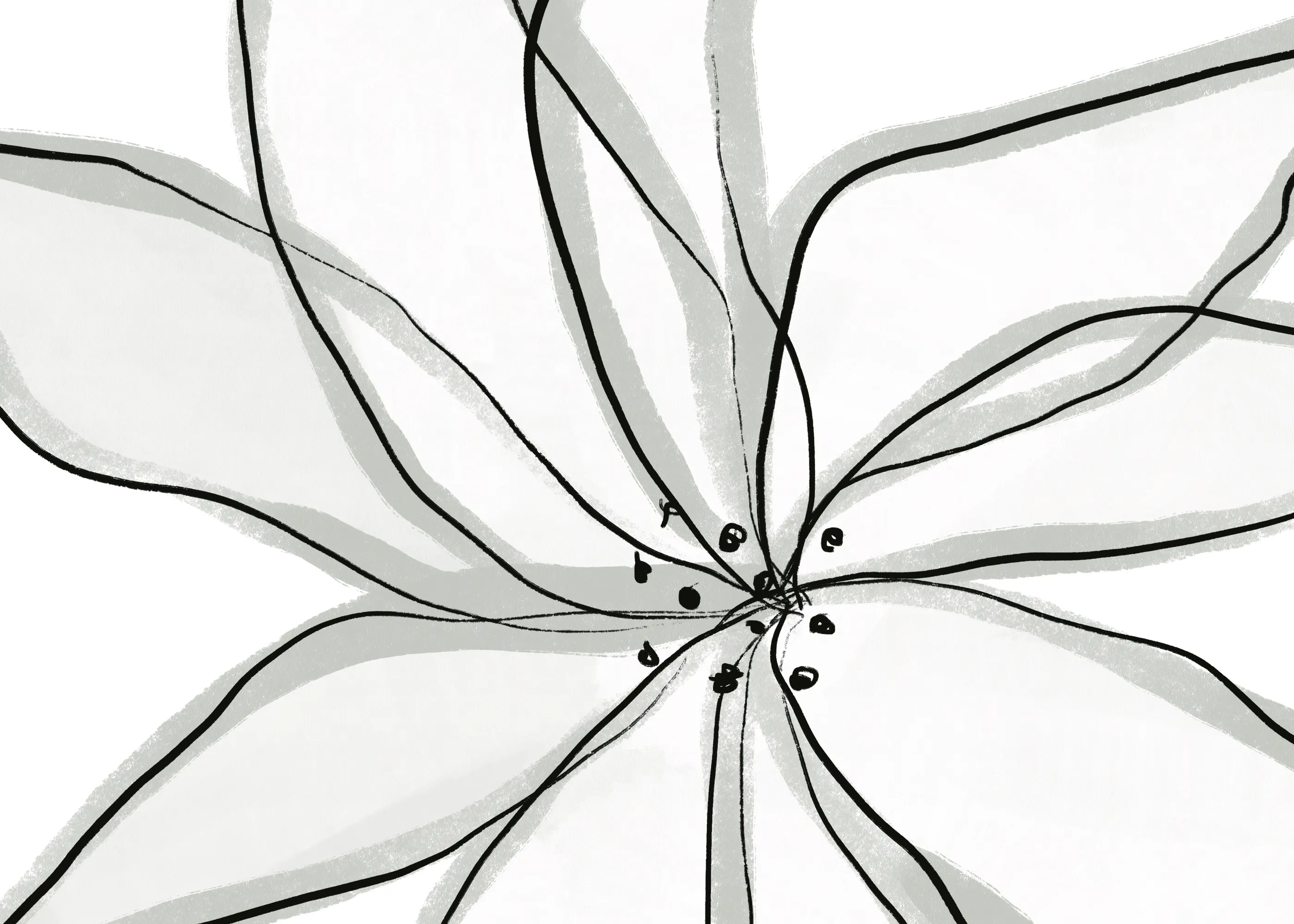 Elegante Blüte Poster 0