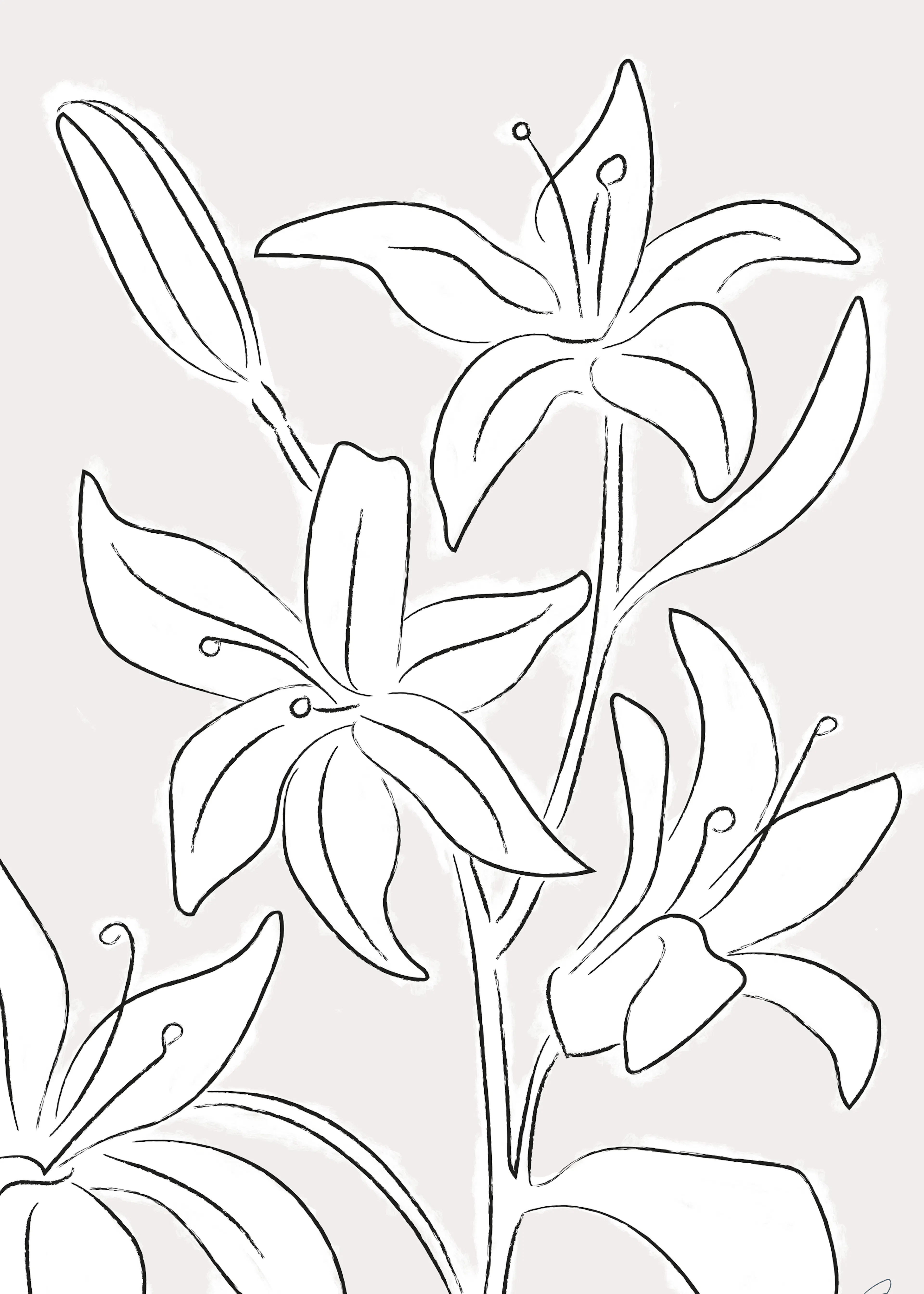 Élégance Florale Blanche Poster 0