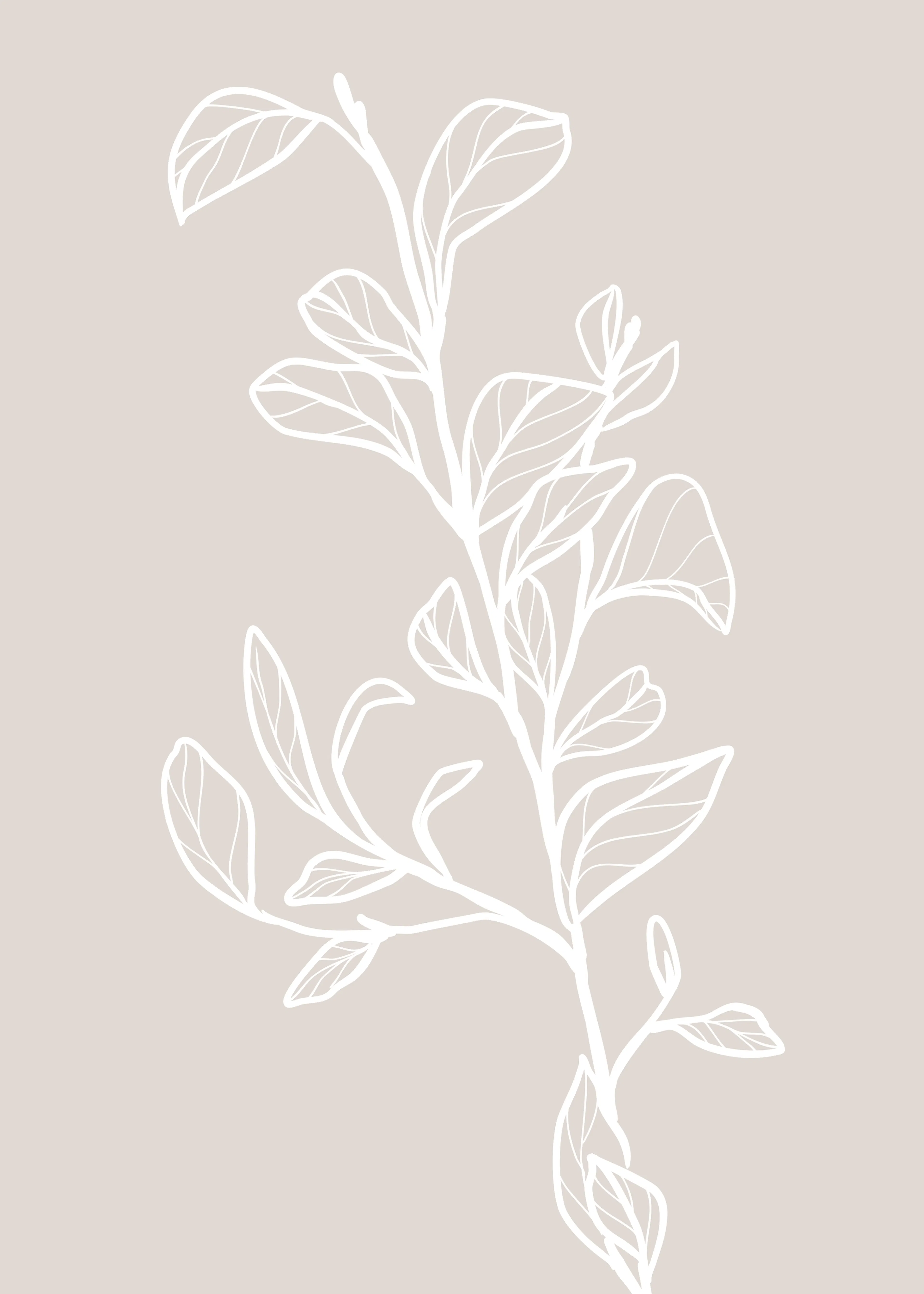 Botanico Minimalista Poster 0