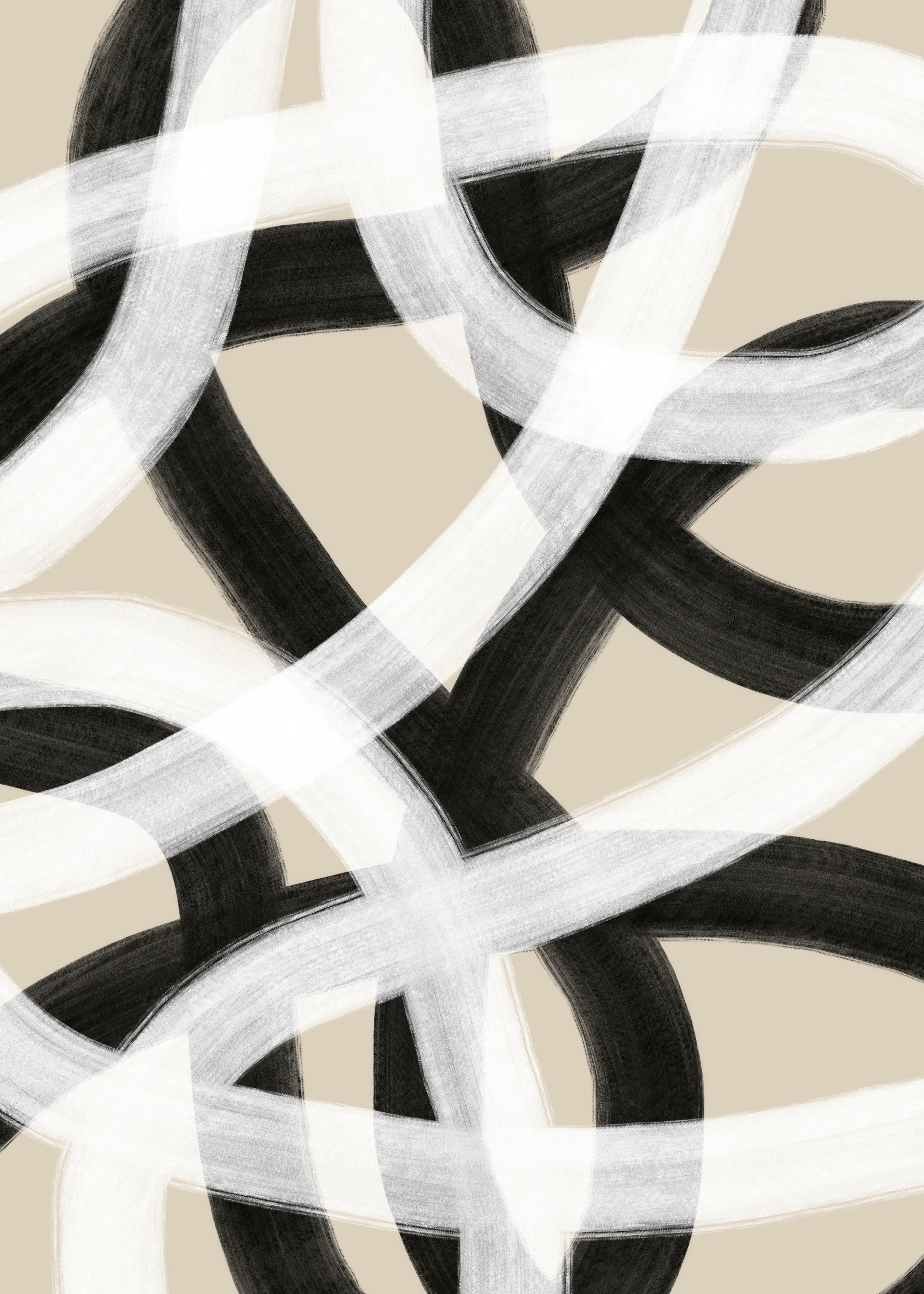 Tourbillons Monochromes Noirs Poster 0