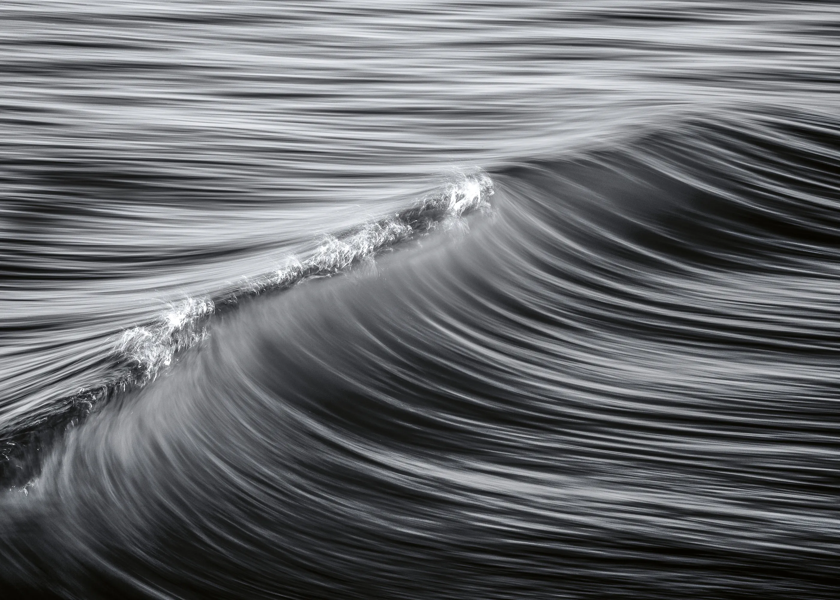 Ocean Flow Poster 0