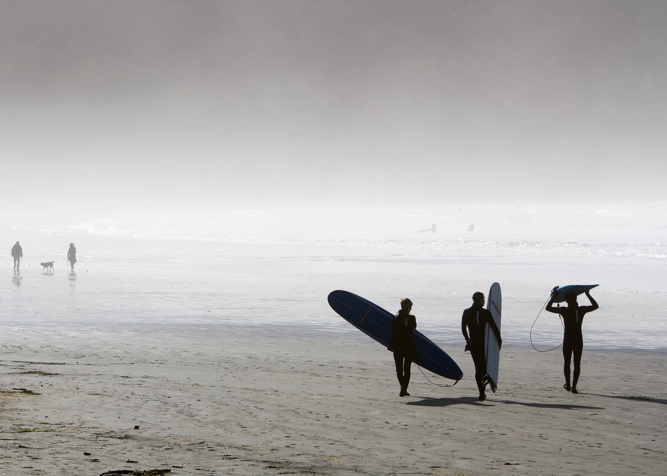 Gray Surf Vibes Poster 0