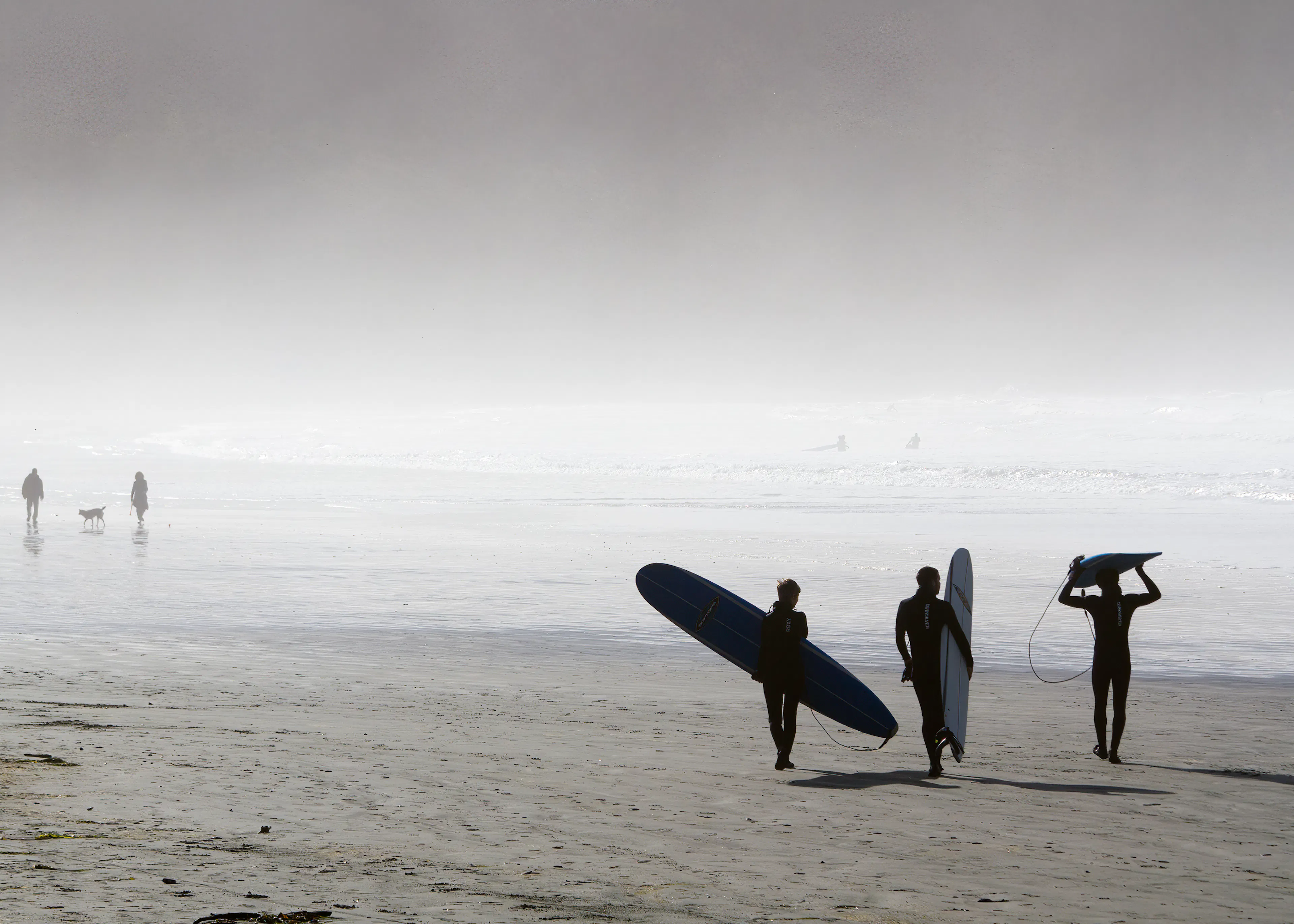 Grigio Surf Vibes Poster 0