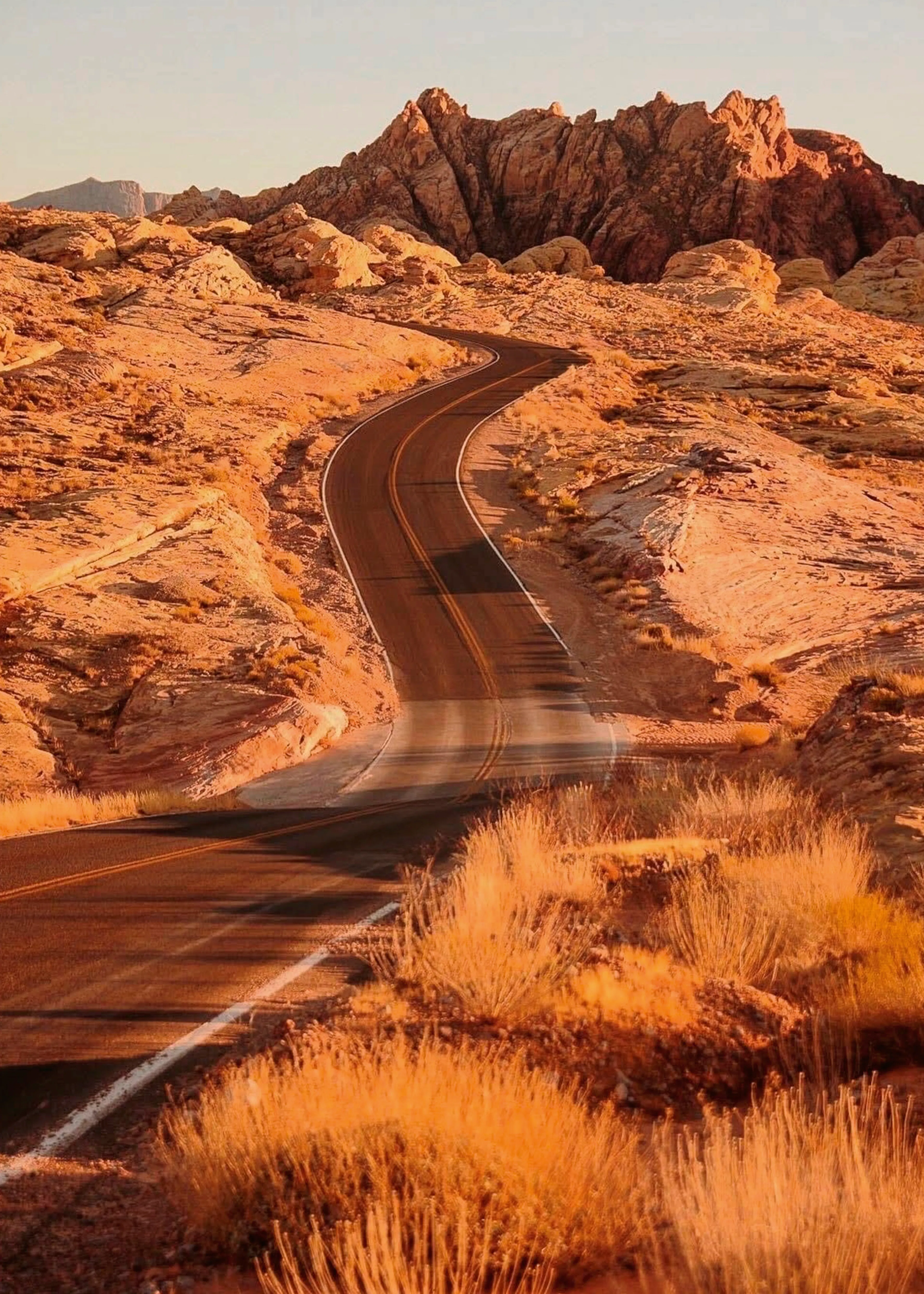 Brown Desert Highway Poster 0