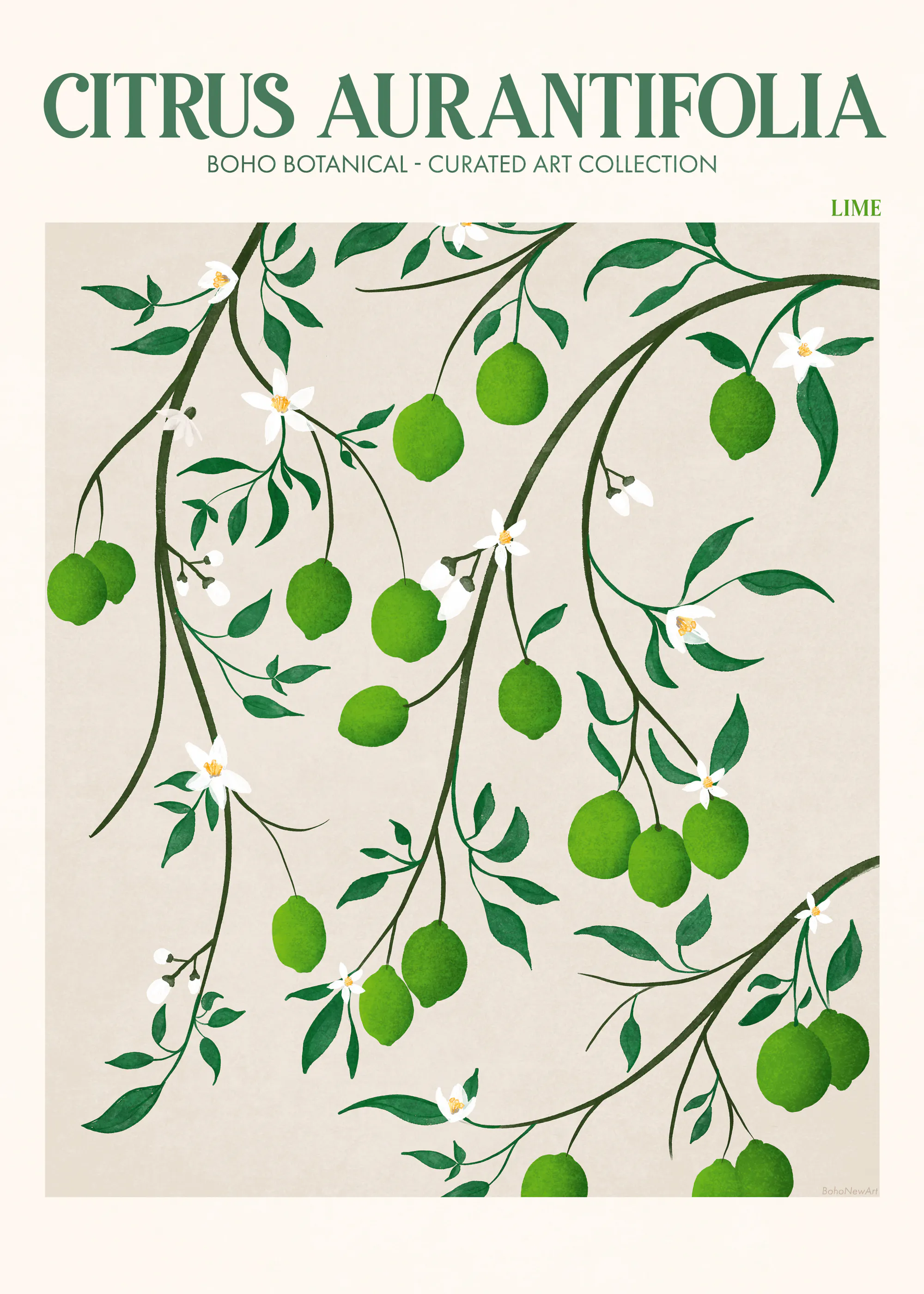 Citrus Elegance Poster 0