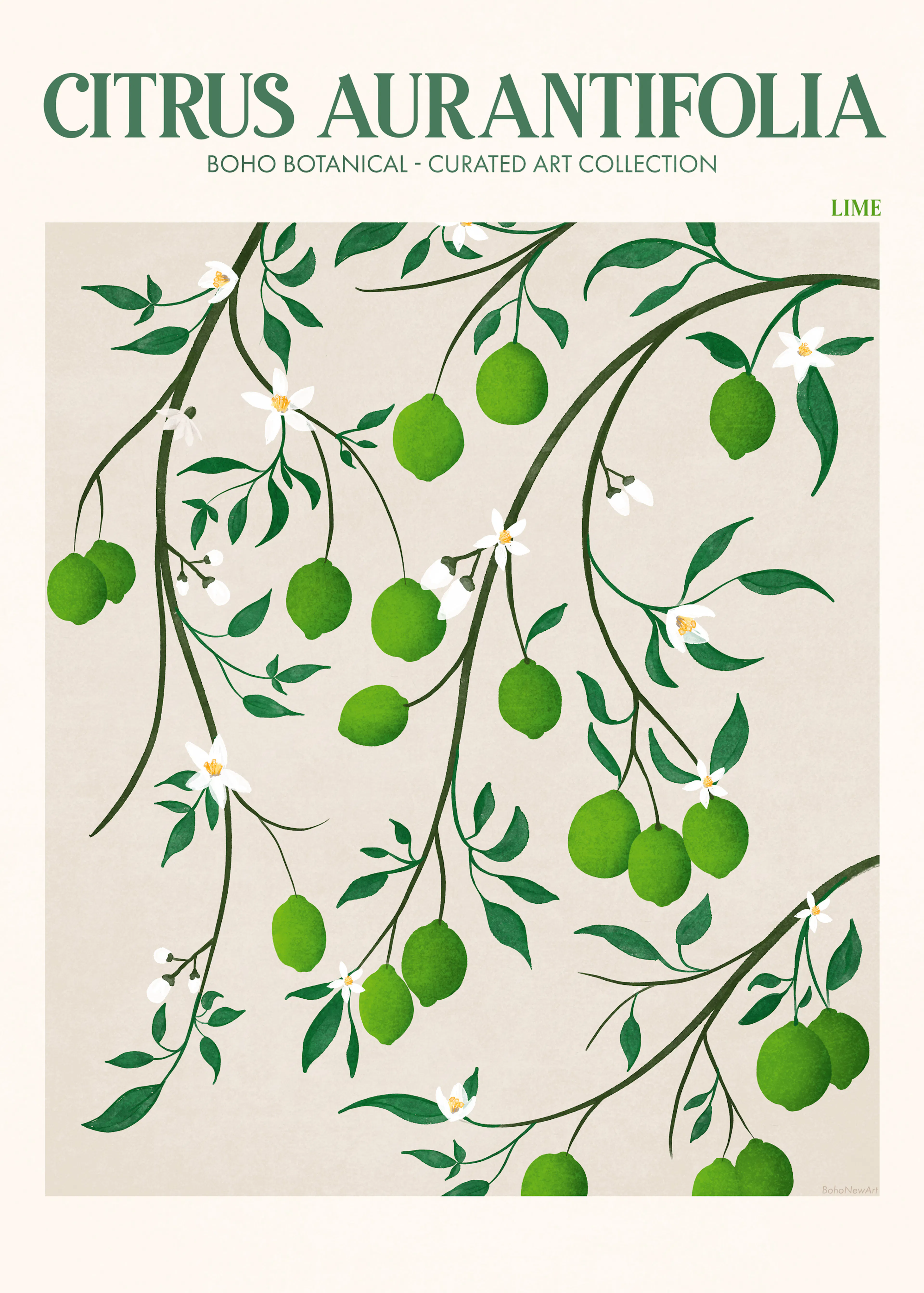 Citrus Elegance Poster 0
