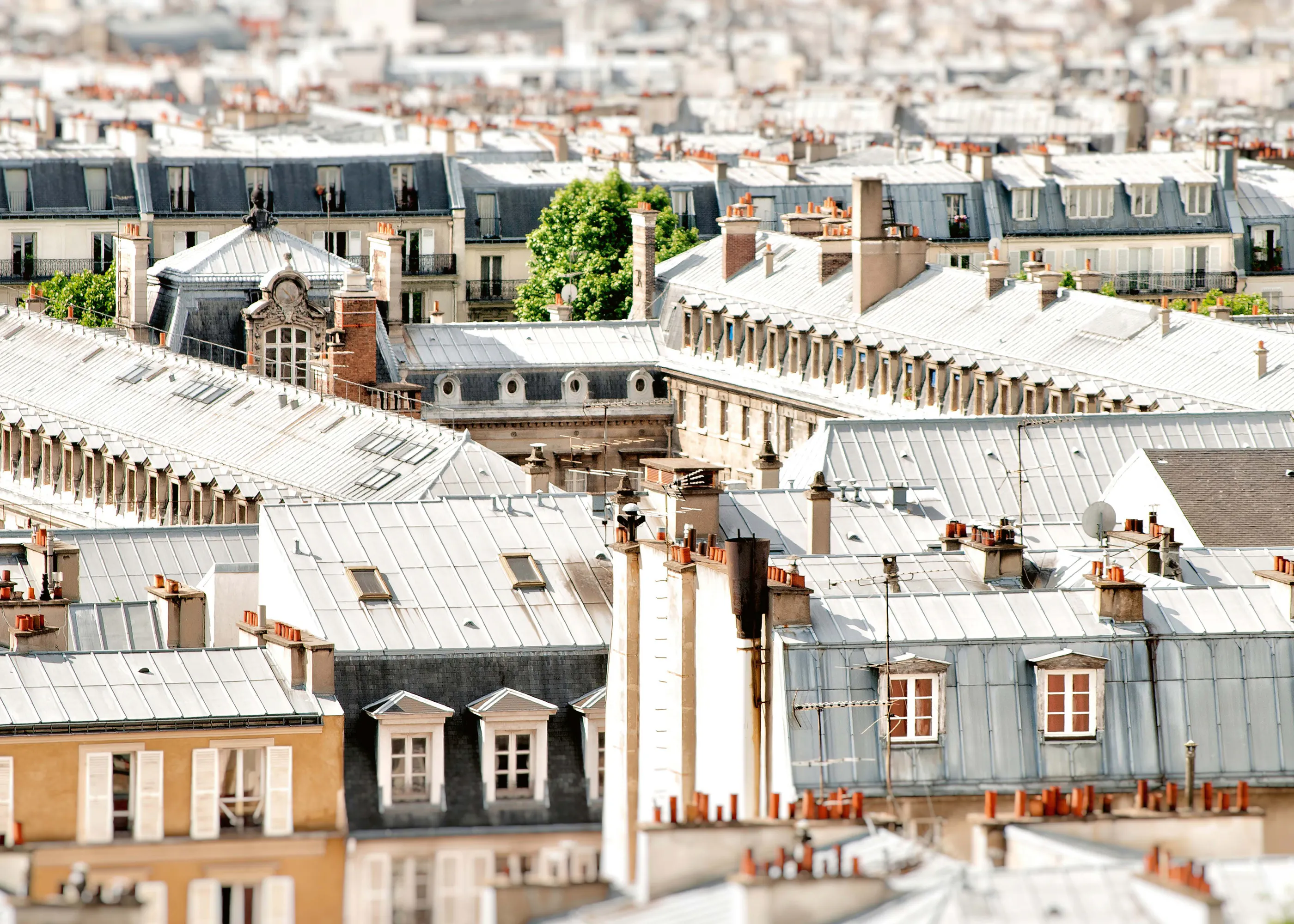 Gray Paris Rooftops Poster 0