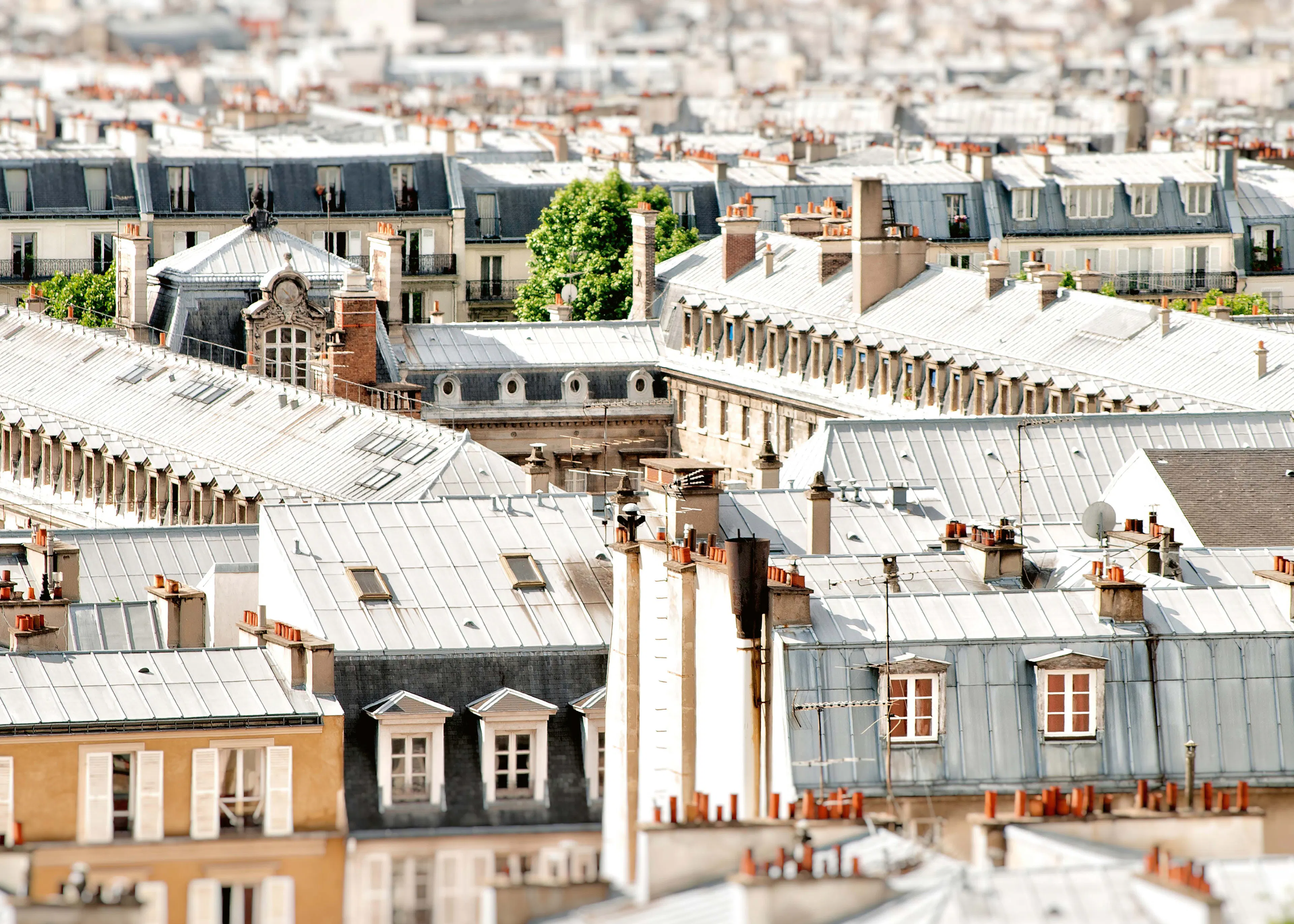 Toits Gris de Paris Poster 0