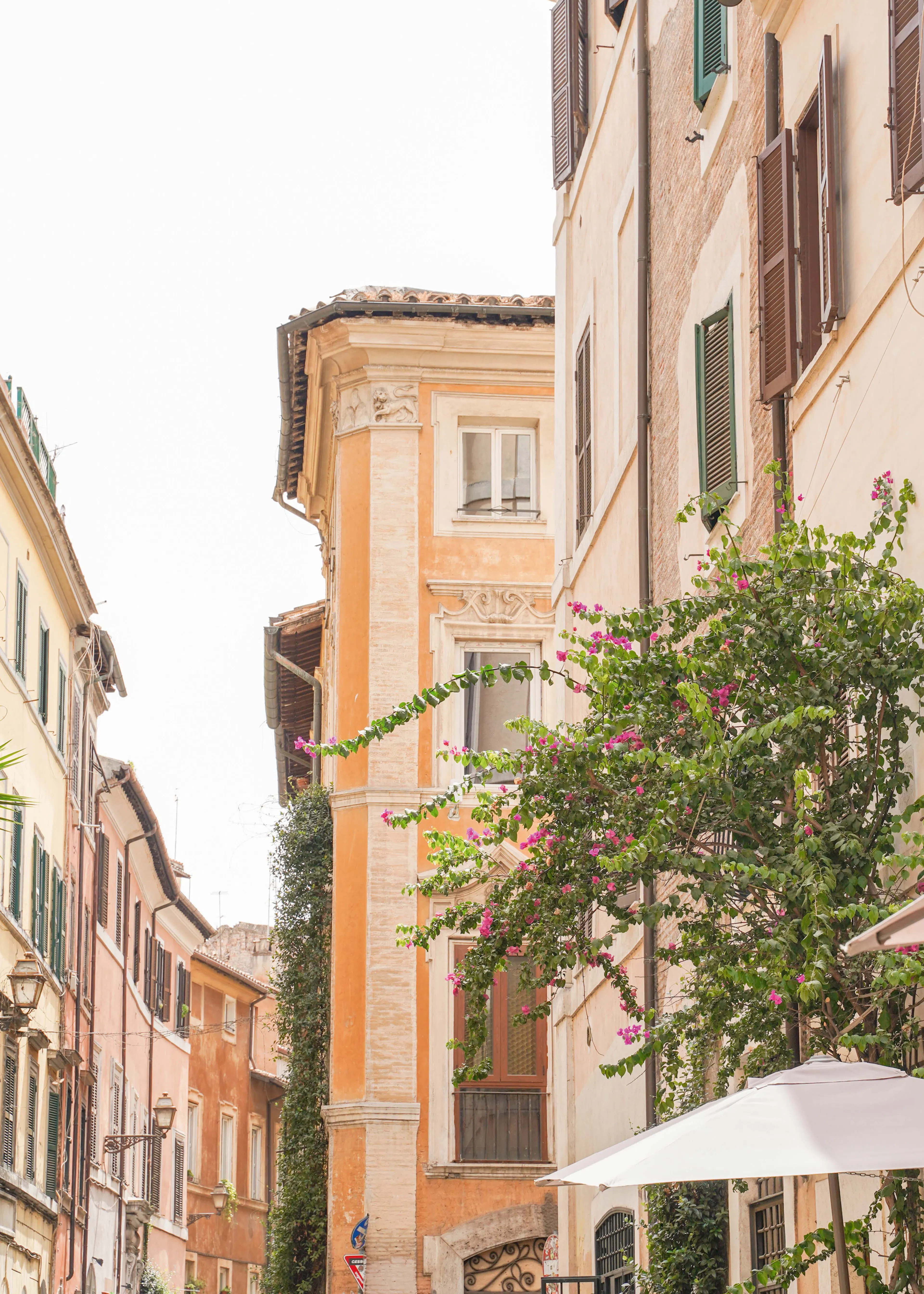 Beige Charming Alleyway Poster 0