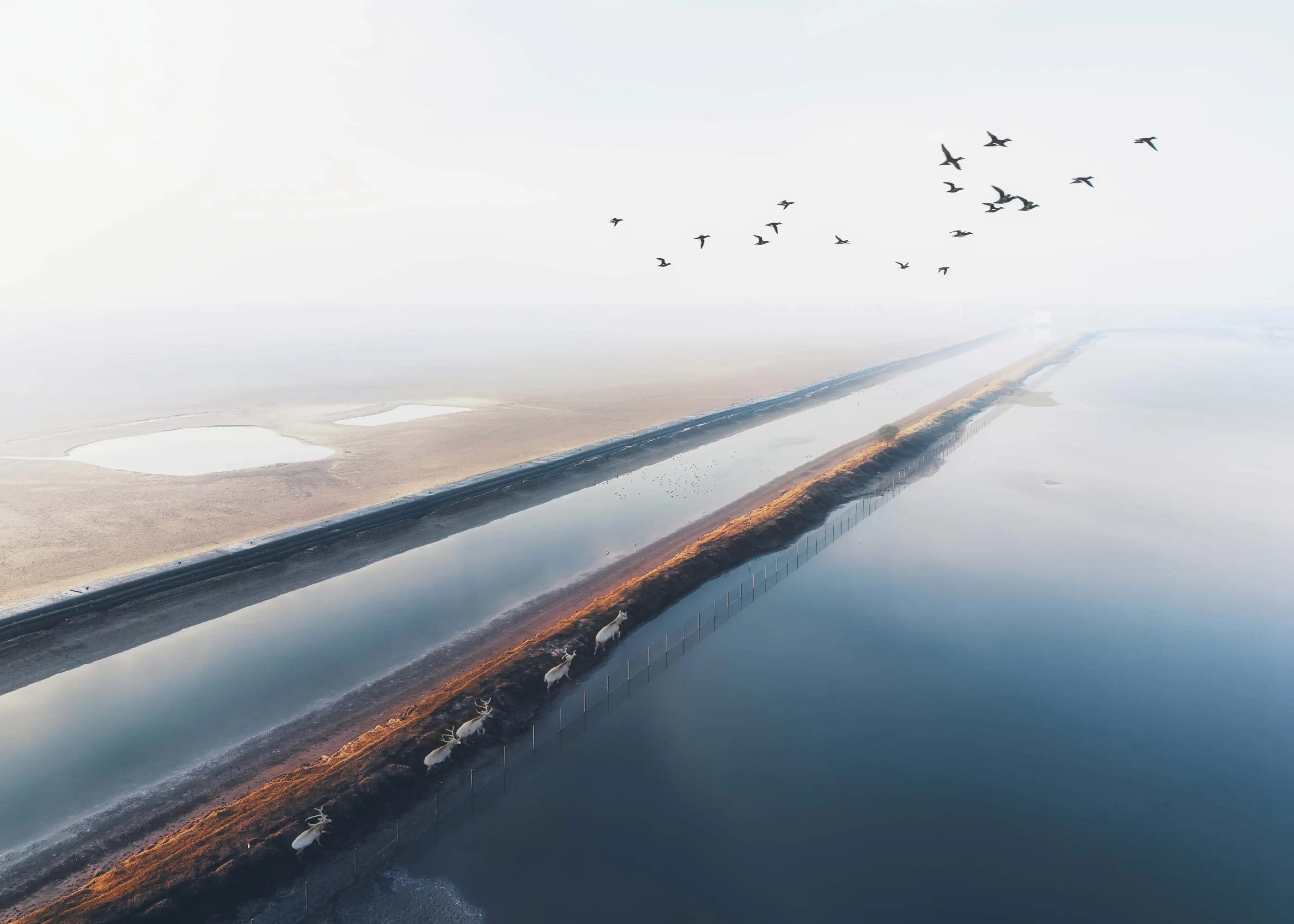 Vredig Blauw Serene Horizon Poster 0