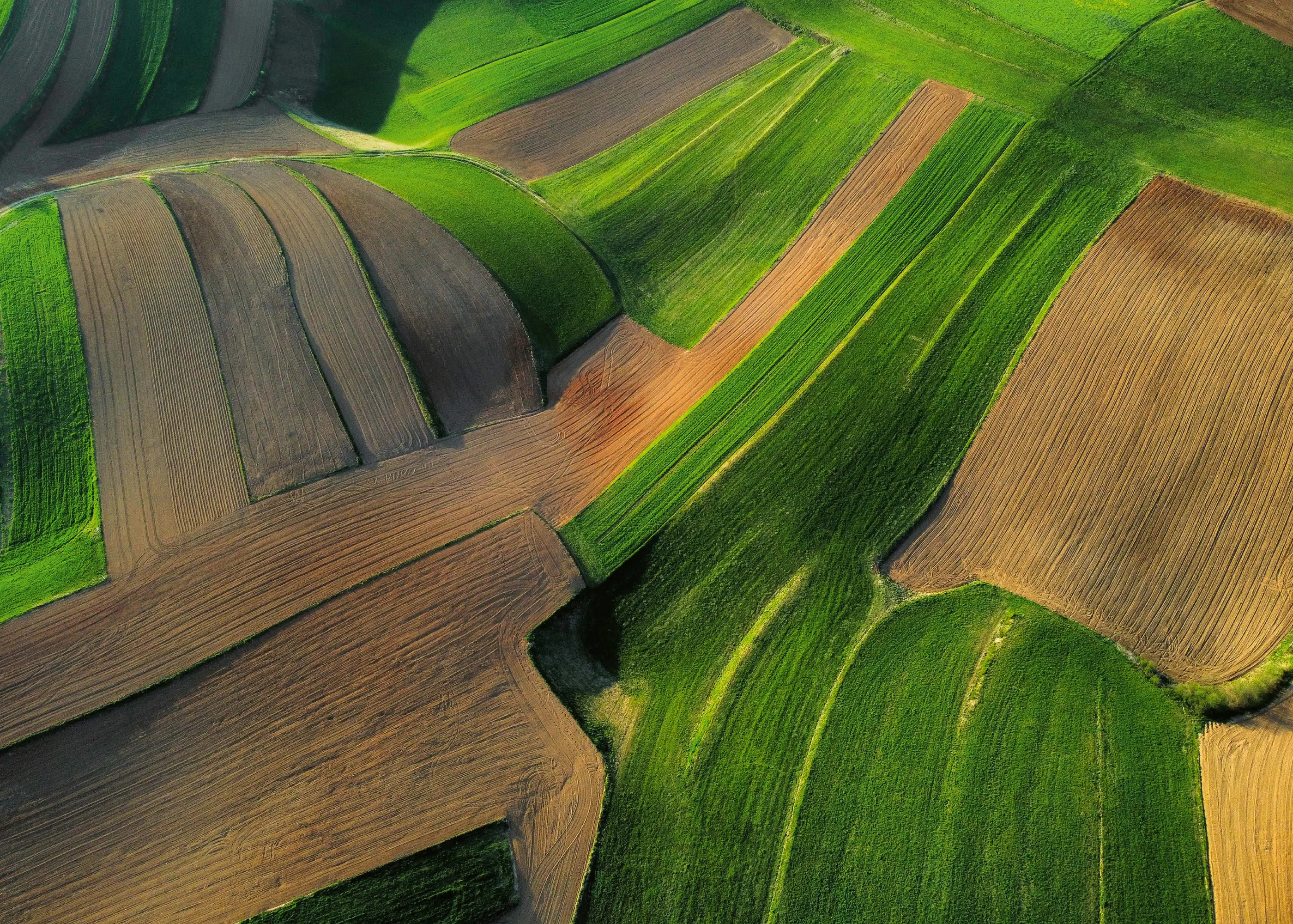 Aerial Fields Poster 0