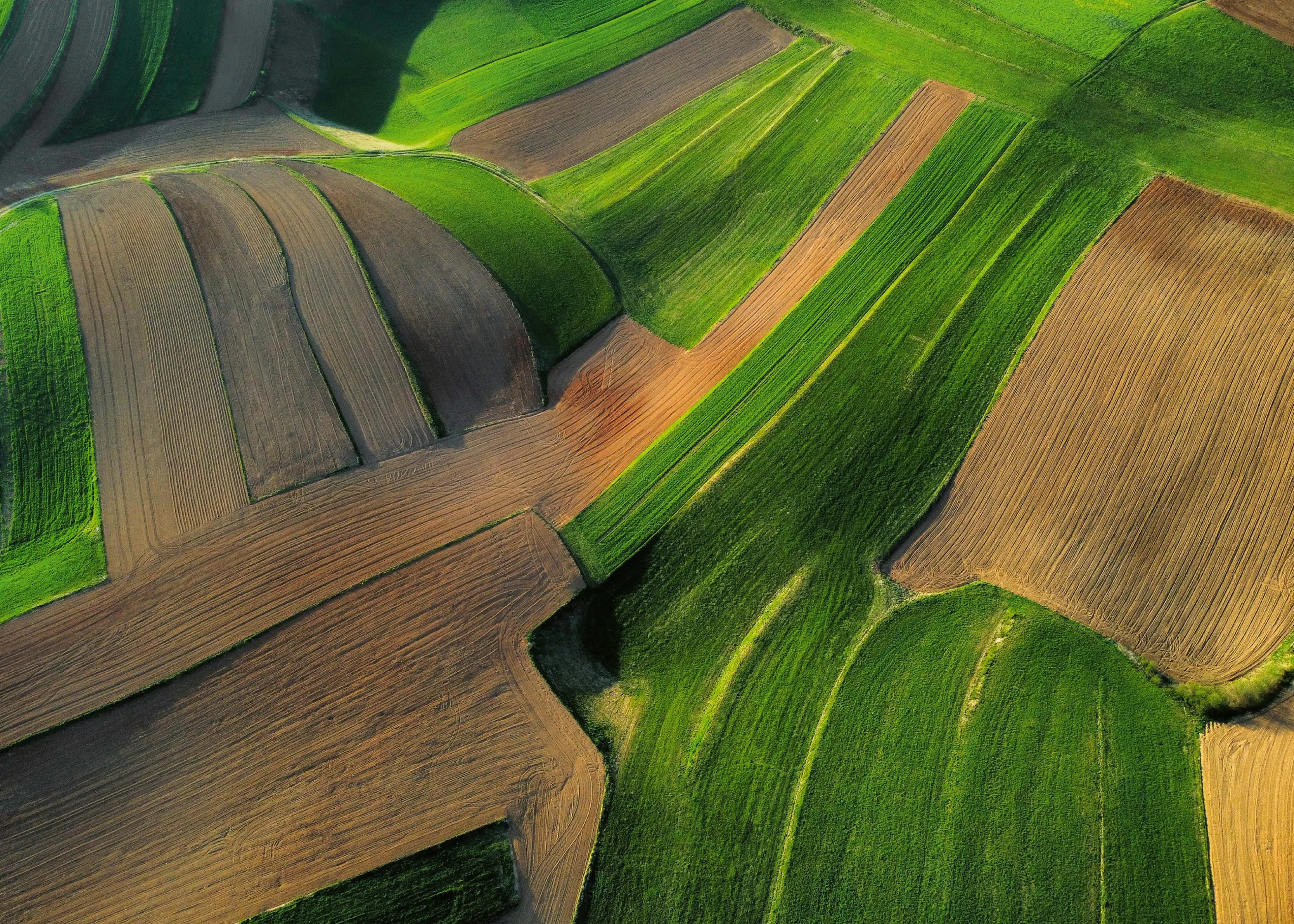 Aerial Fields Poster 0