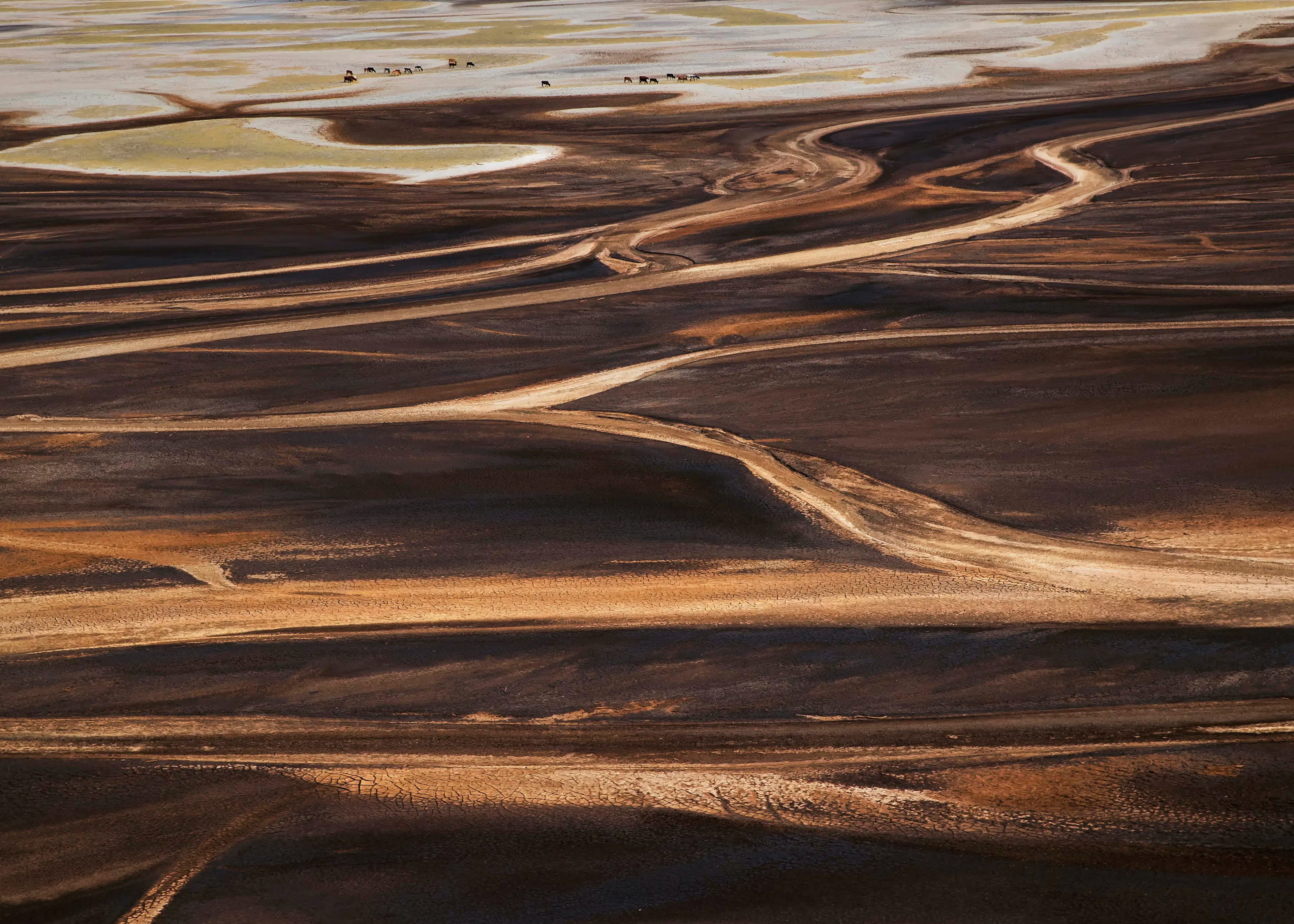 Desert Trails Poster 0
