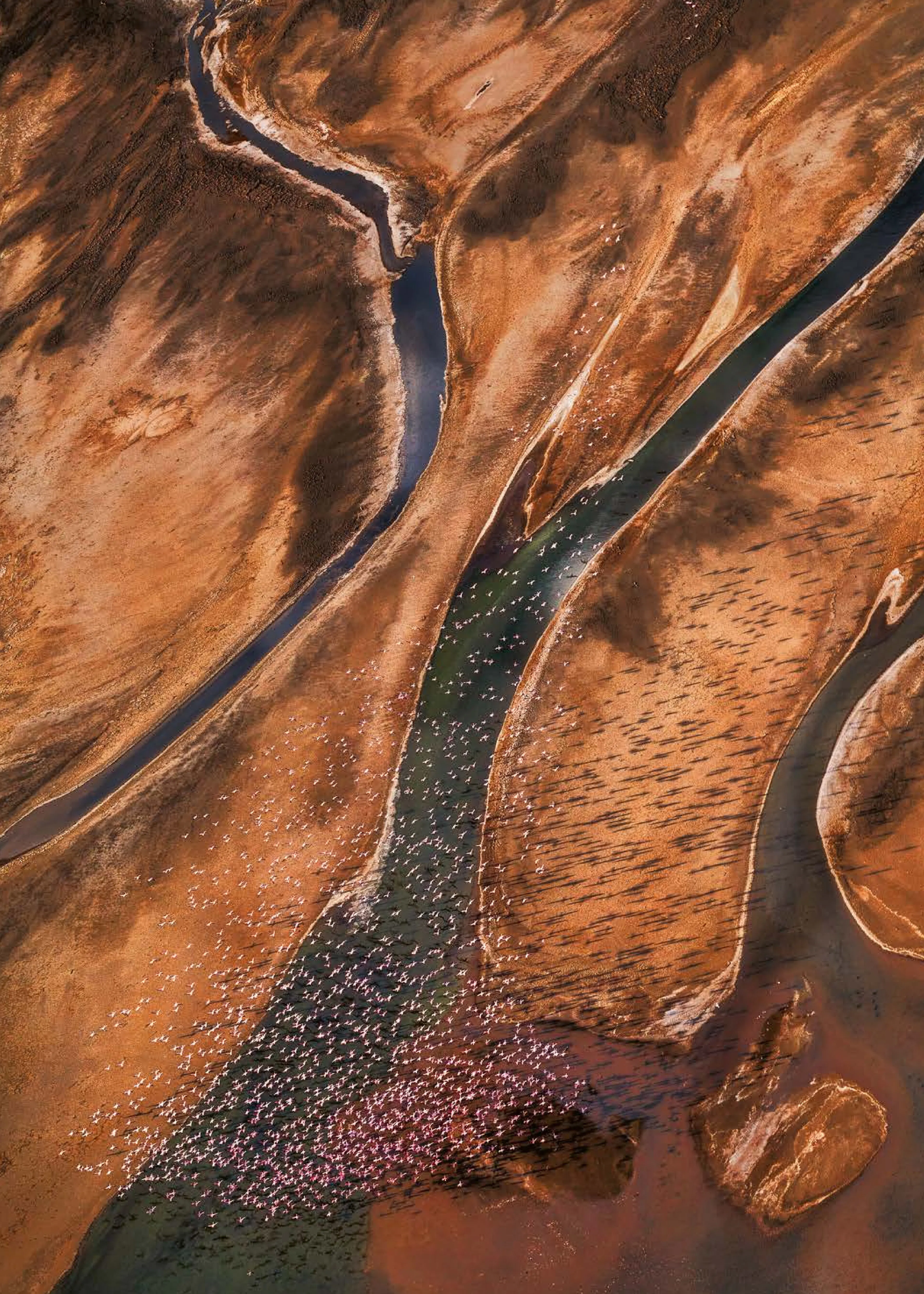 Desert Flow Poster 0