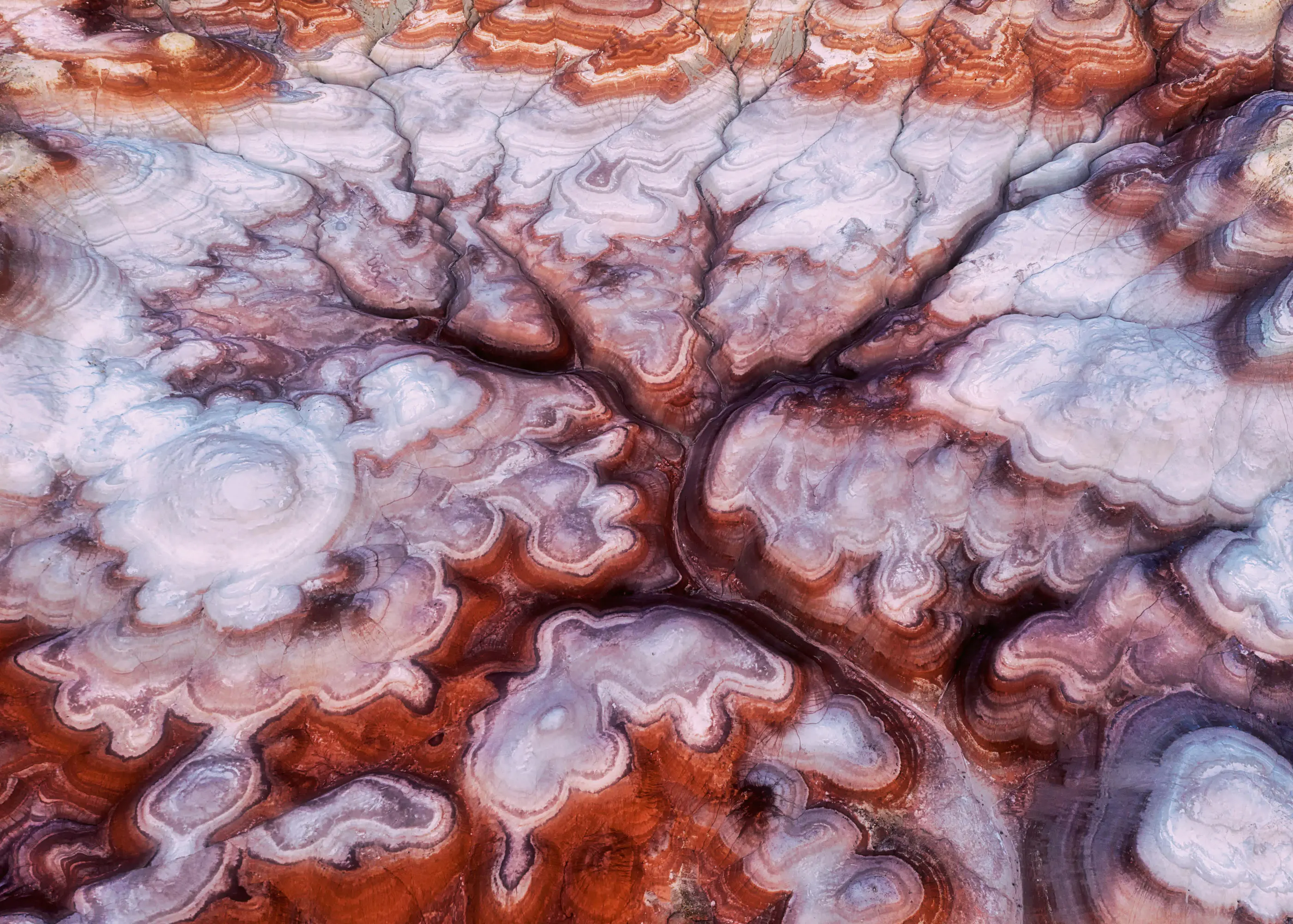 Agate Elegance Poster 0