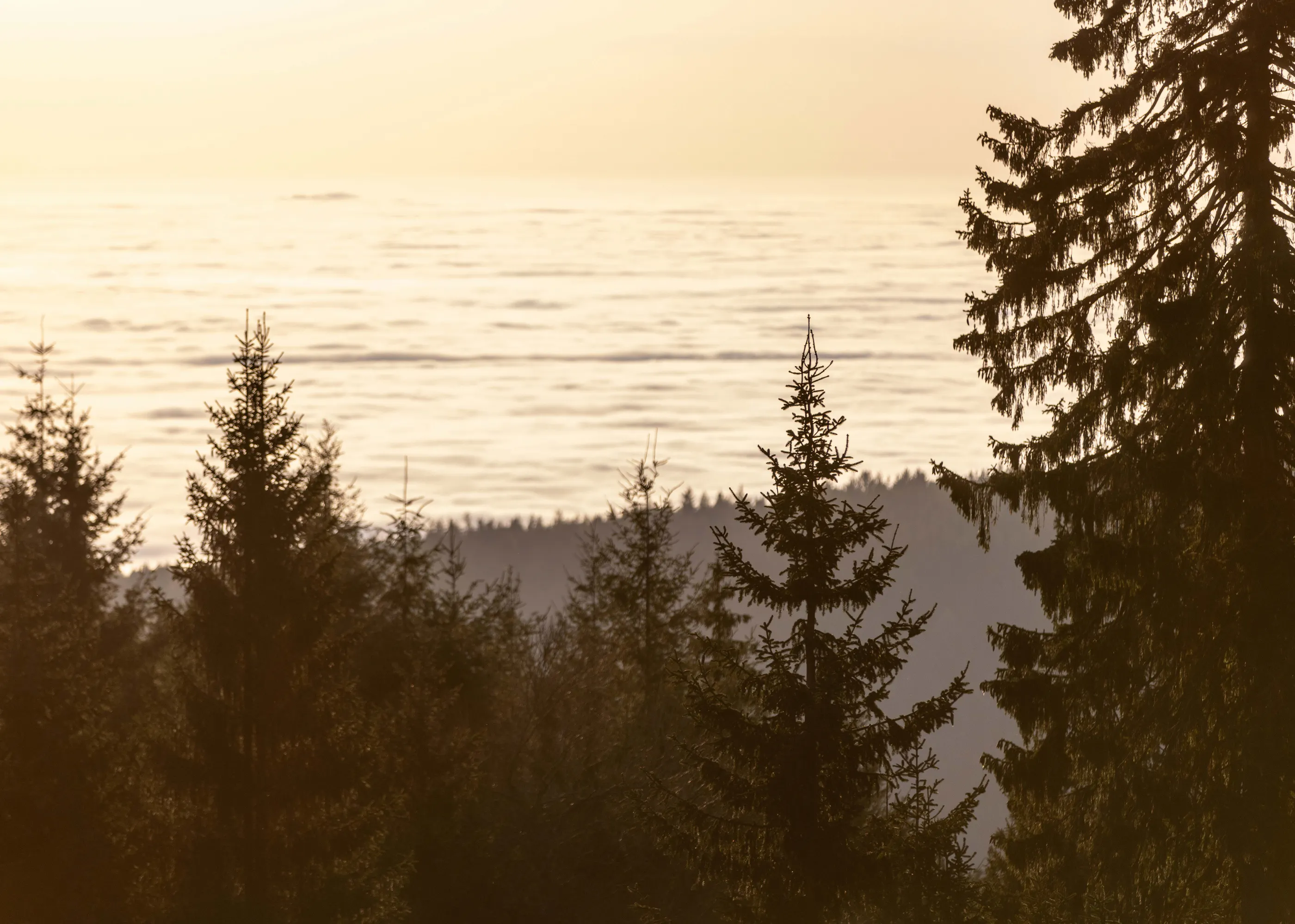 Breathtaking Golden Sunset Serenity Poster 0
