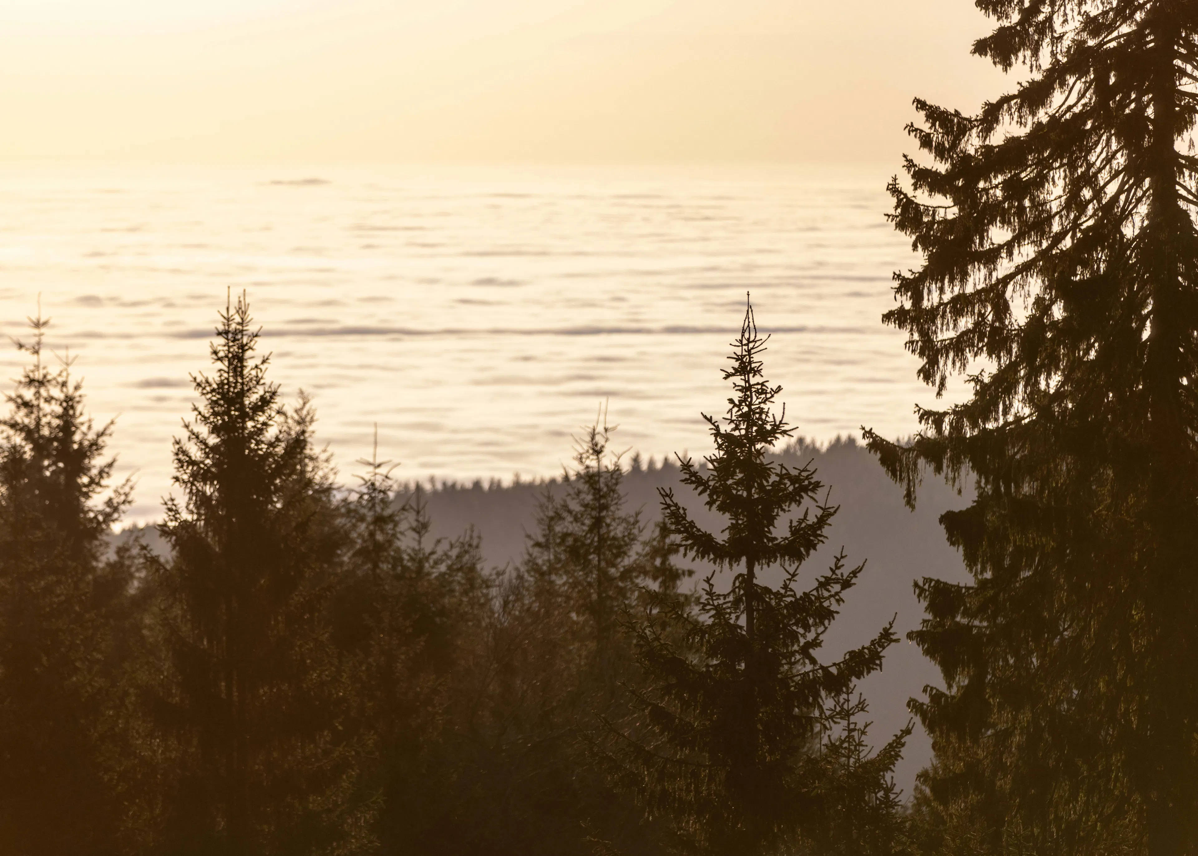 Breathtaking Golden Sunset Serenity Poster 0