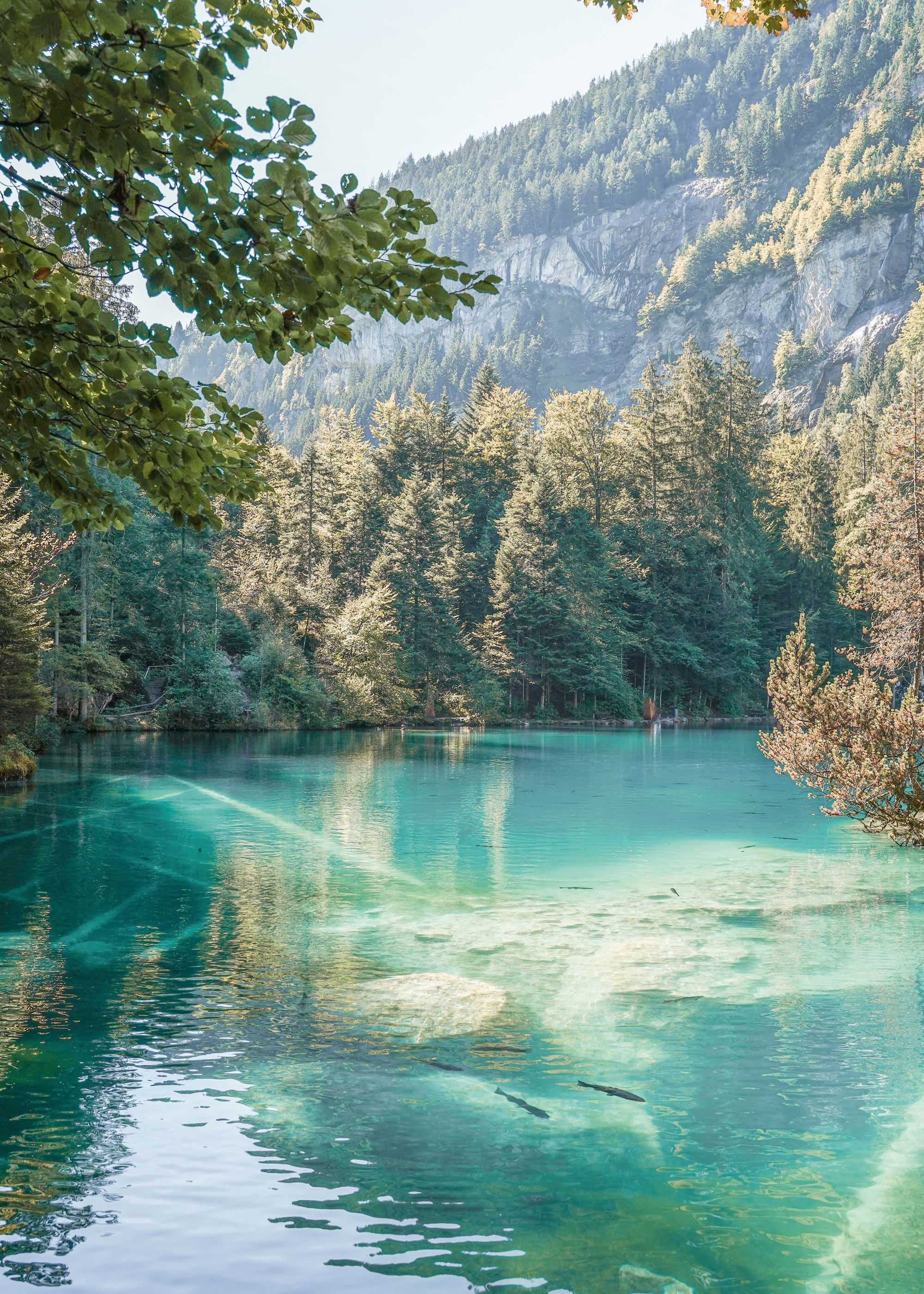 Tranquil Peaceful Blue Mountain Serenity Poster