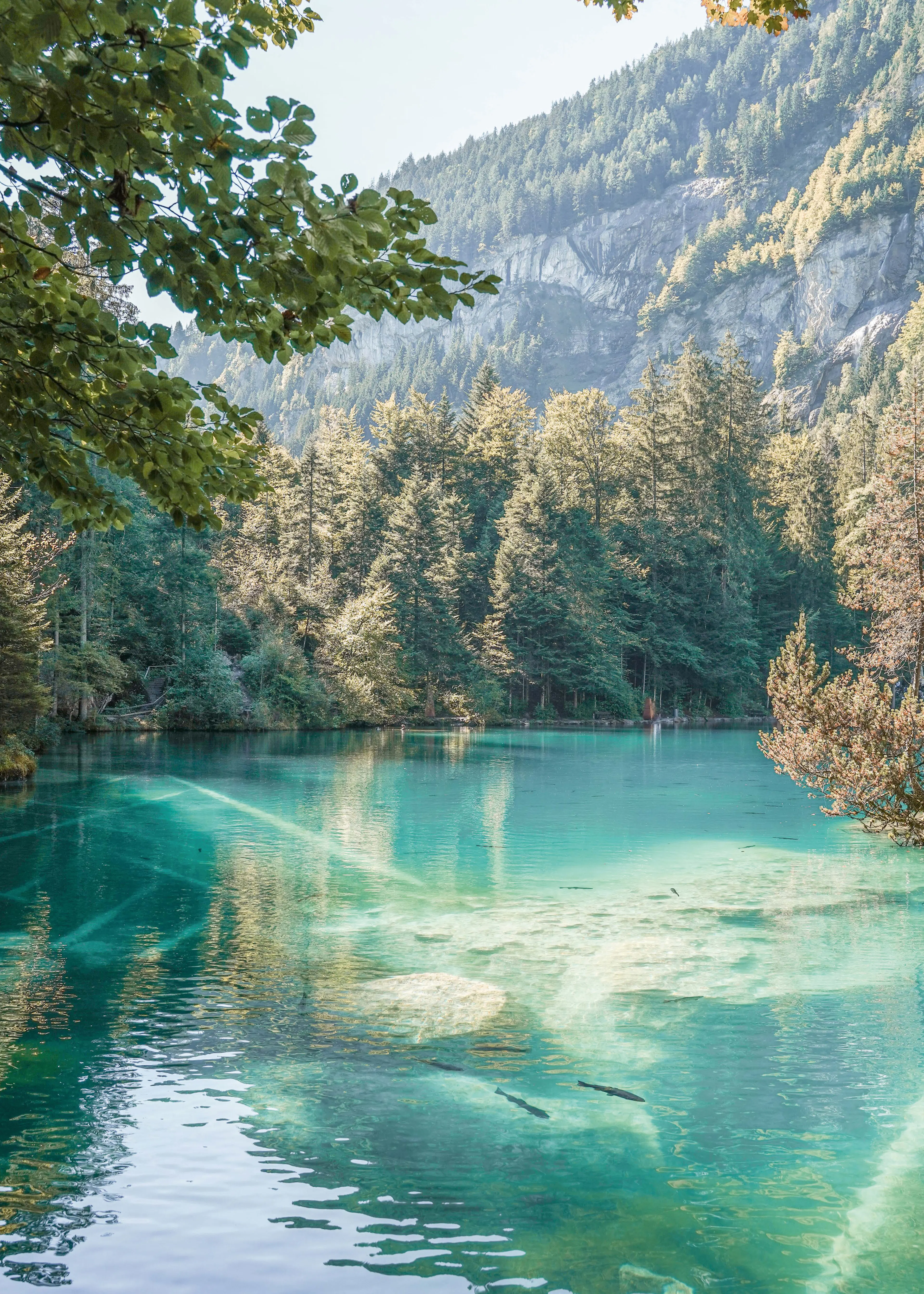 Tranquil Peaceful Blue Mountain Serenity Poster 0