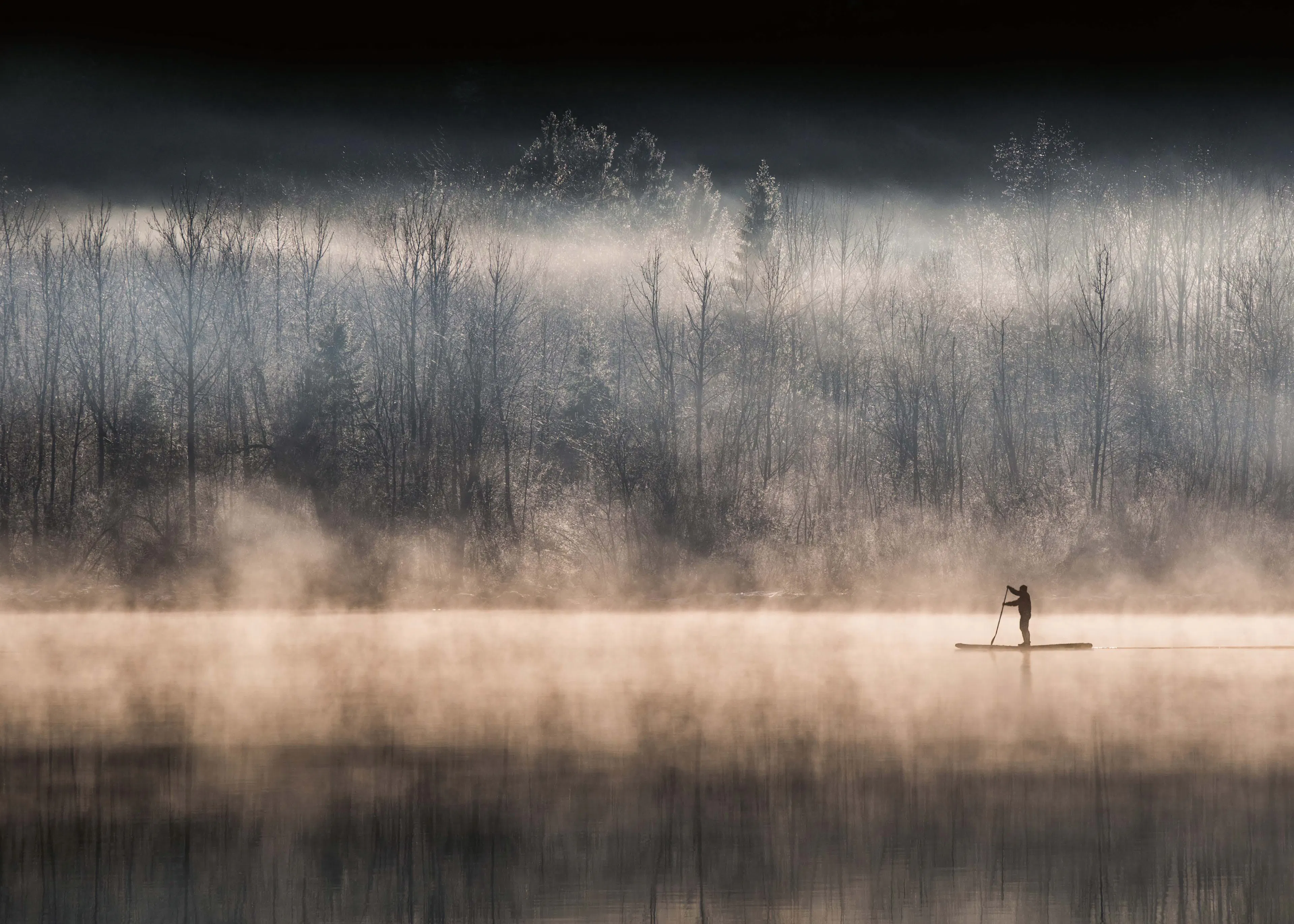 Misty Serenity Poster 0
