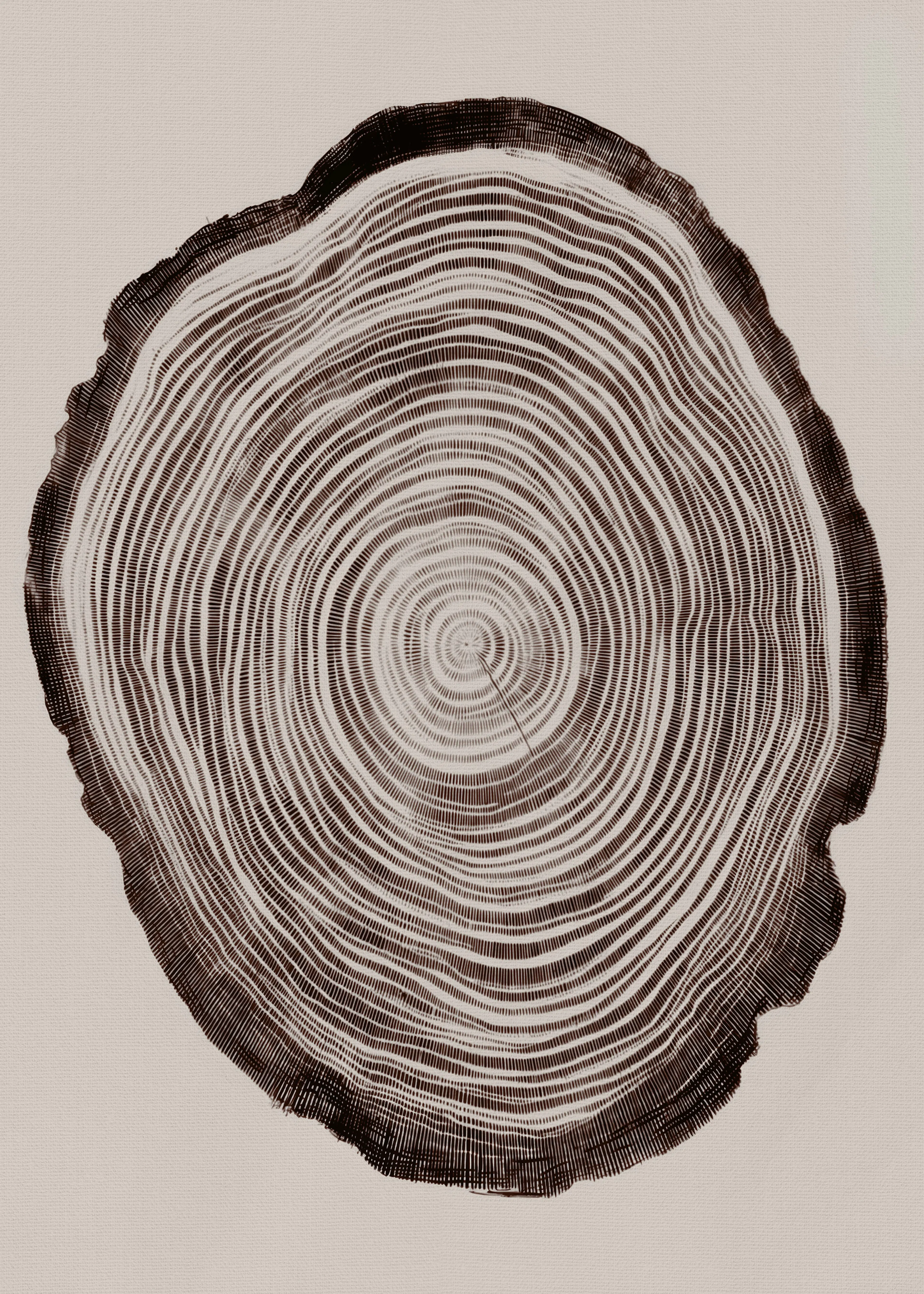 Woodgrain Rings Poster 0