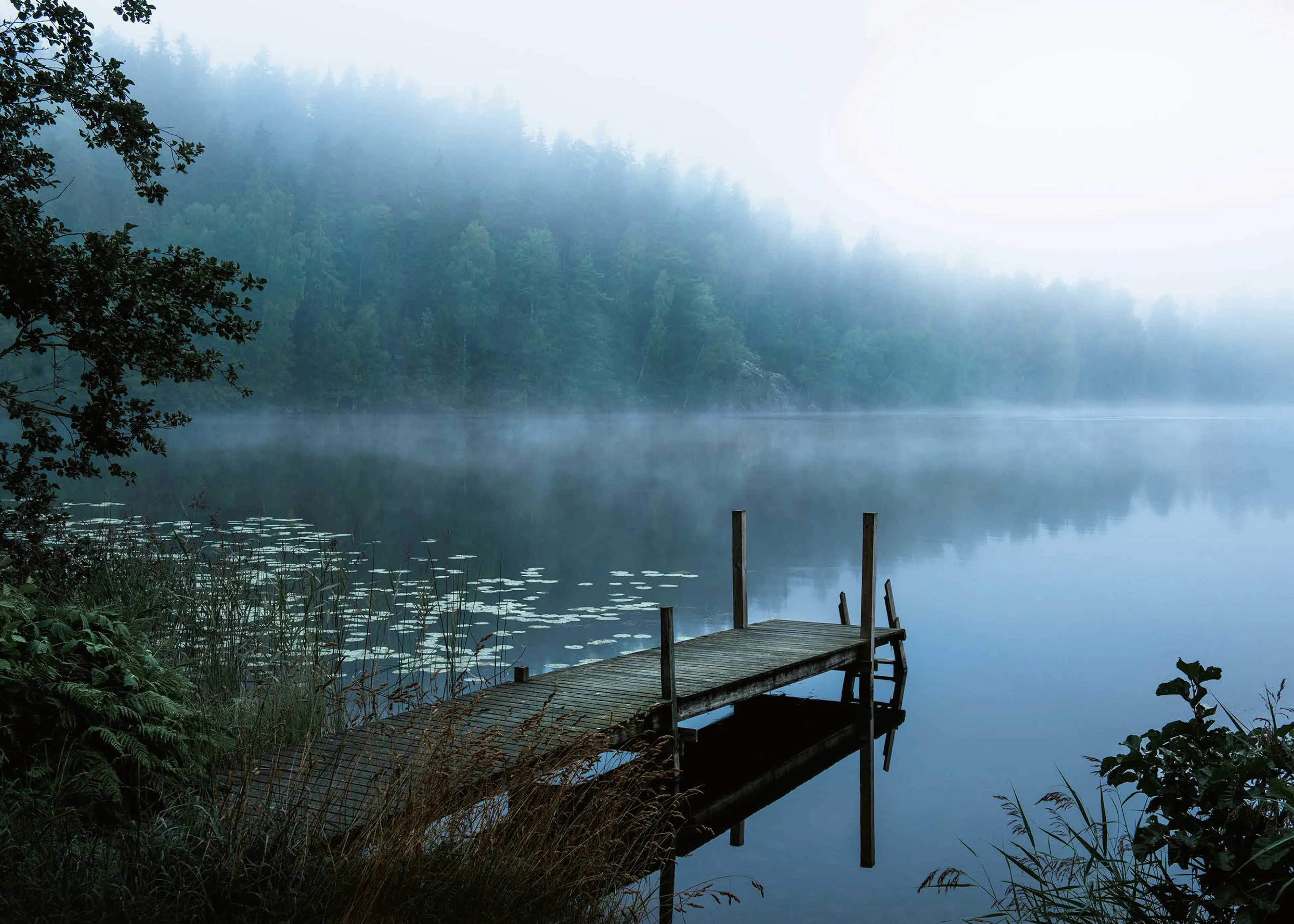 Blue Misty Lake Poster 0
