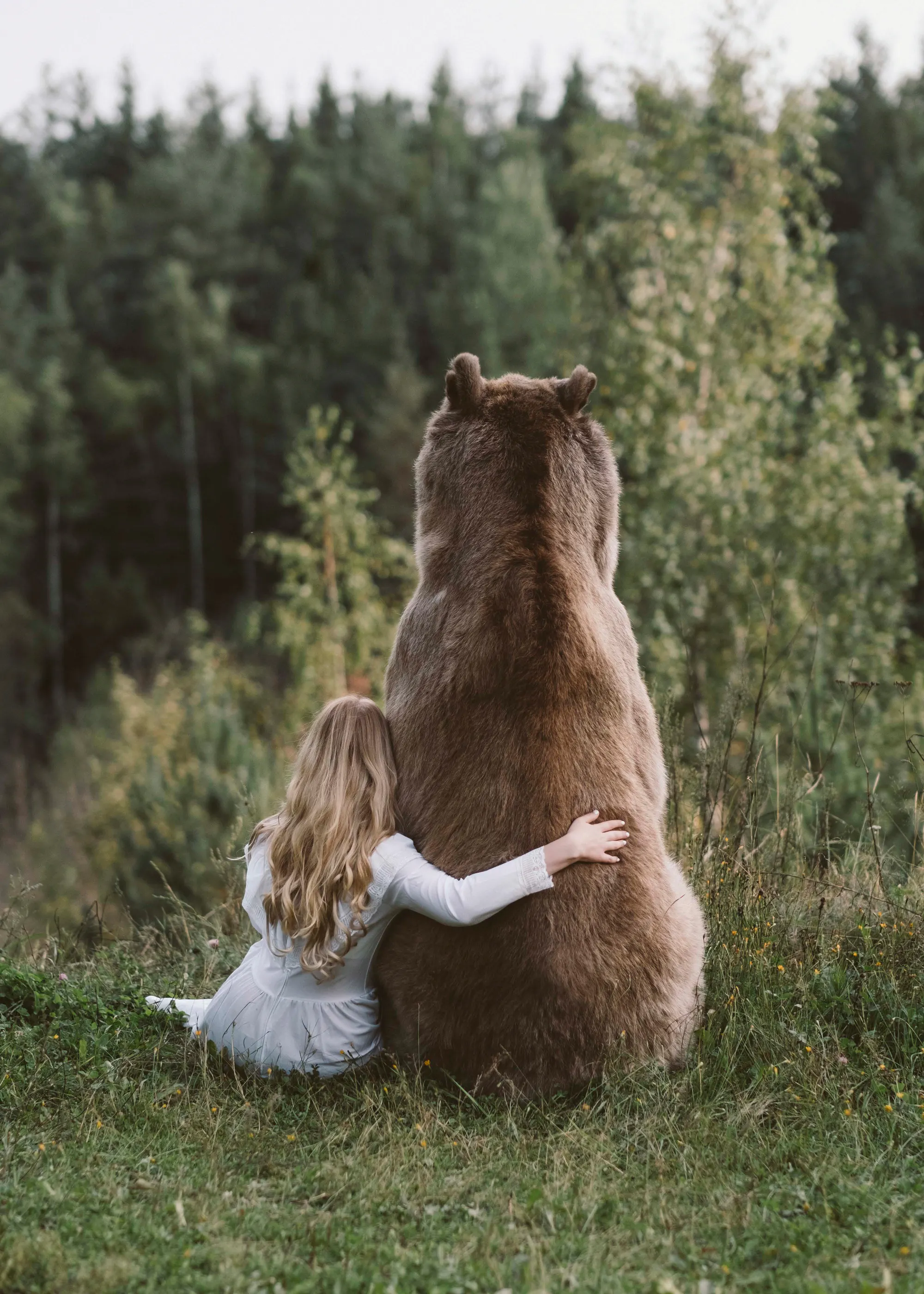 Brown Bear Hug Poster 0