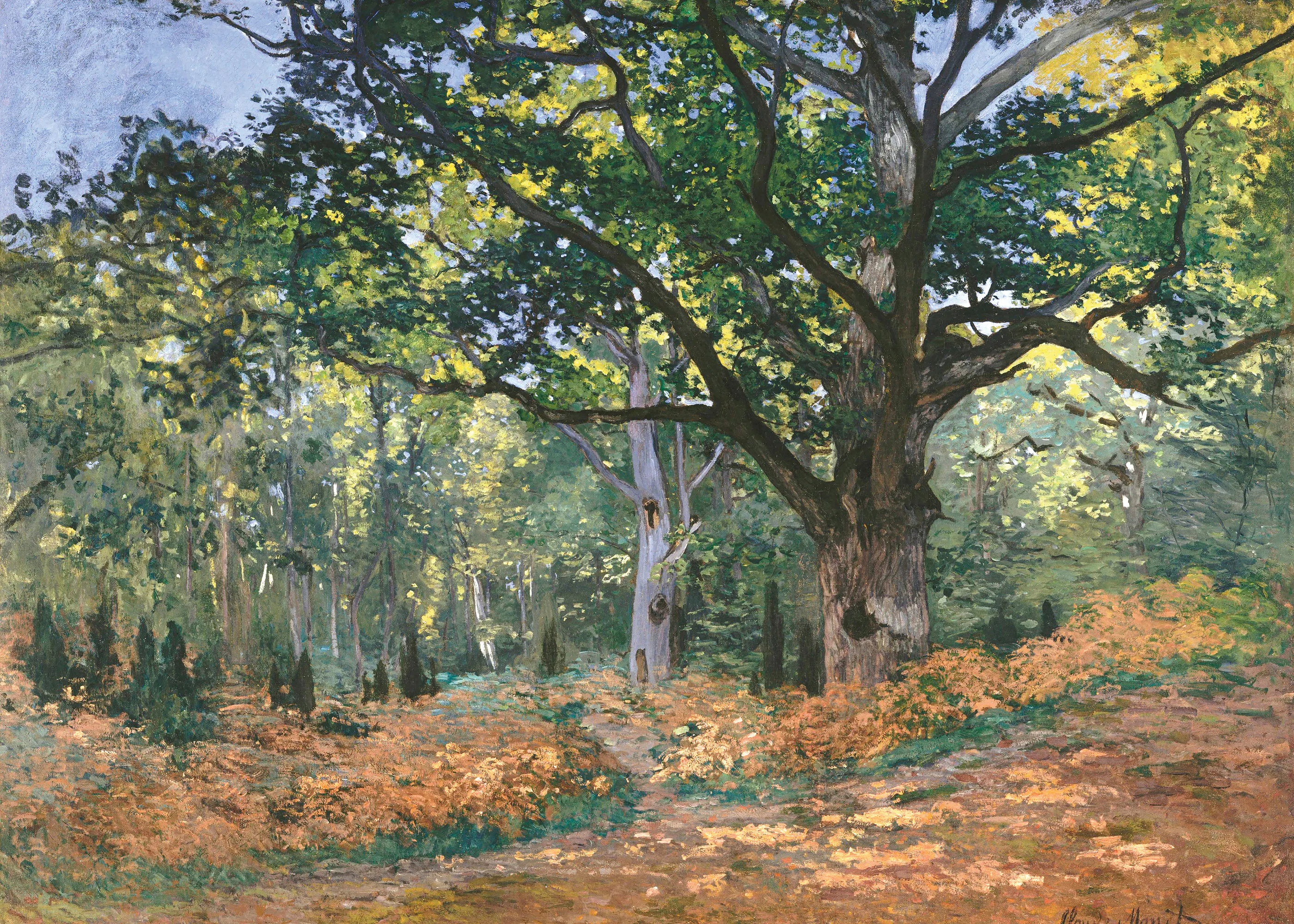 Sérénité d'Automne Poster 0