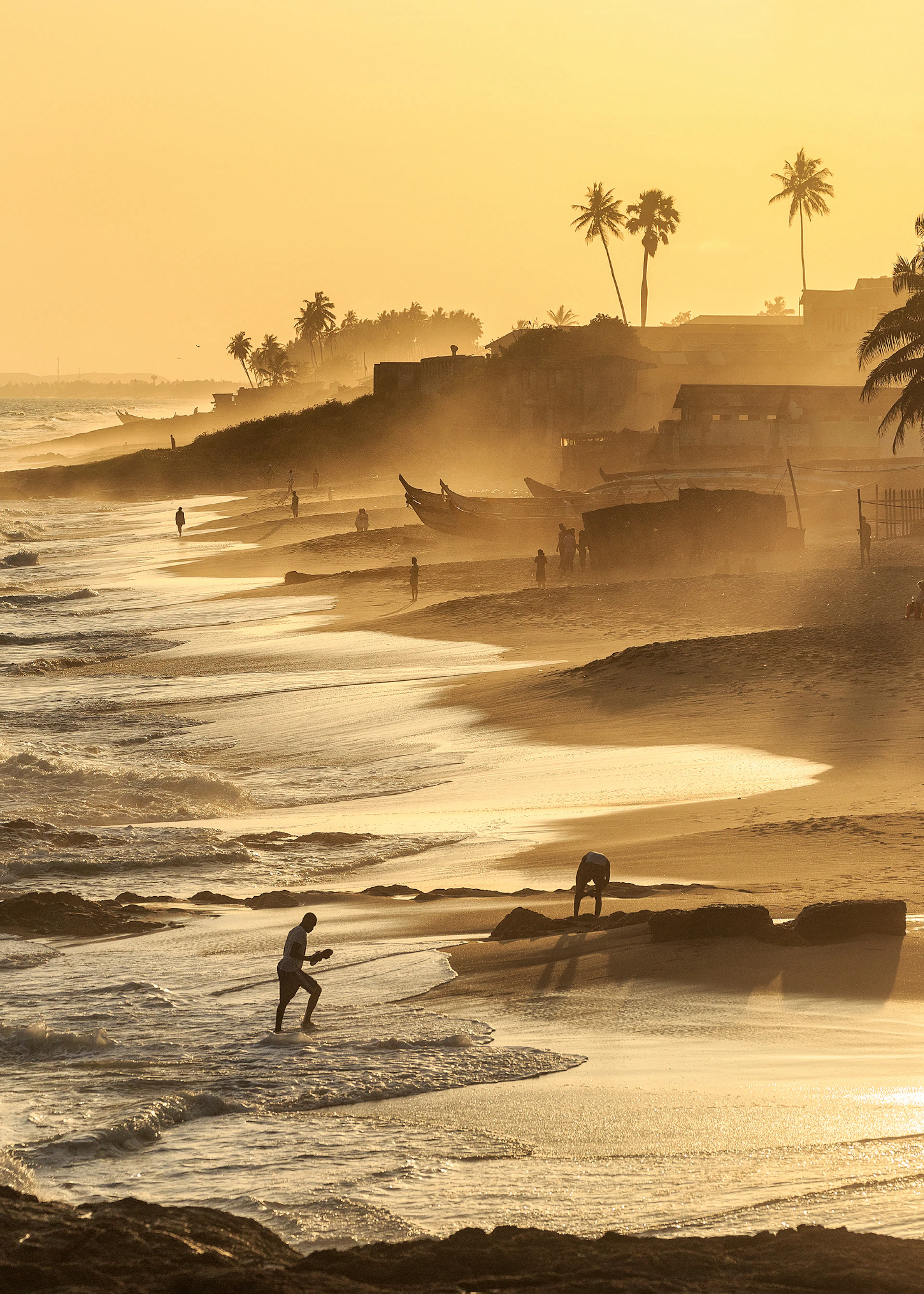 Surf Doré Poster 0