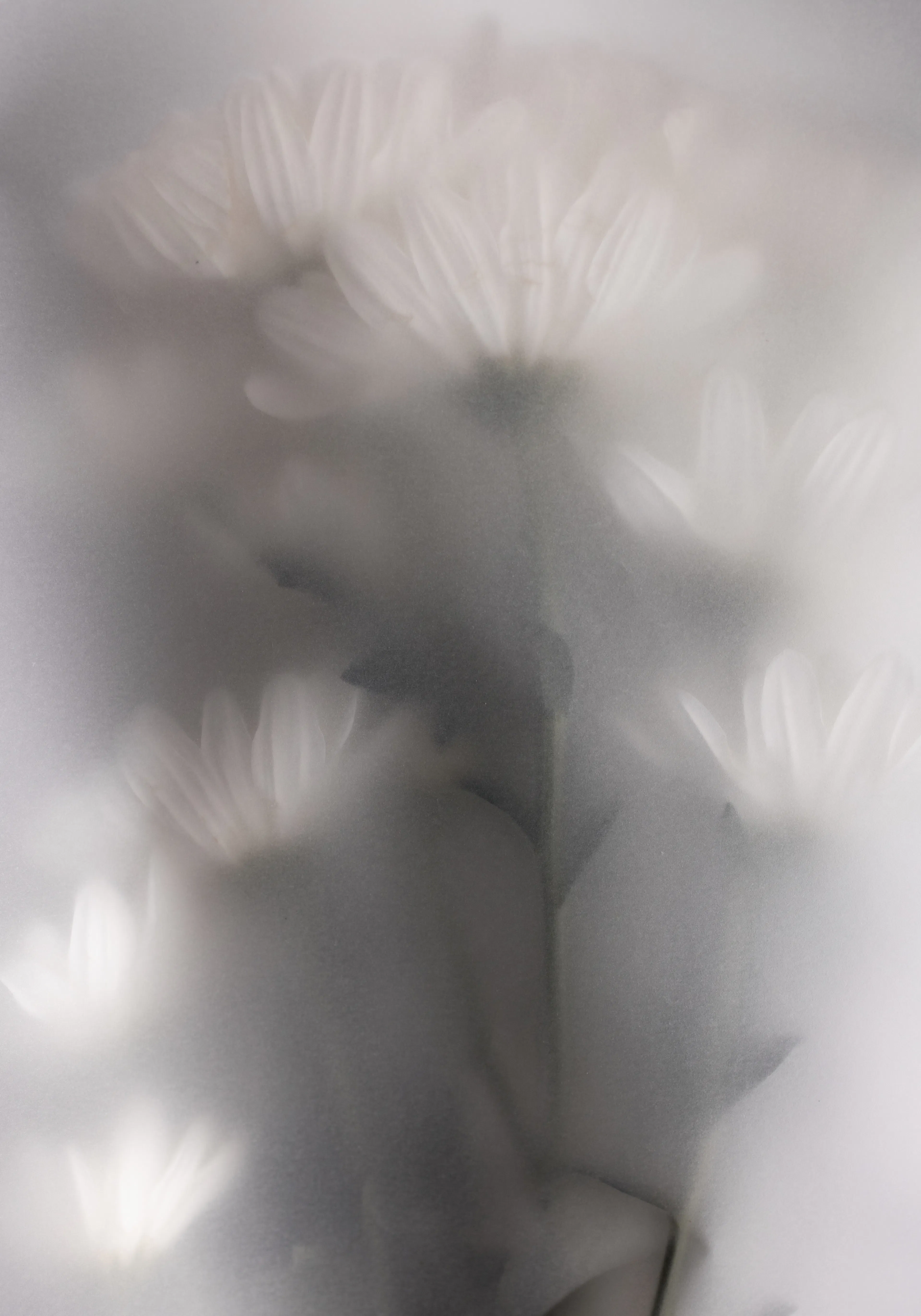 Product image: 1