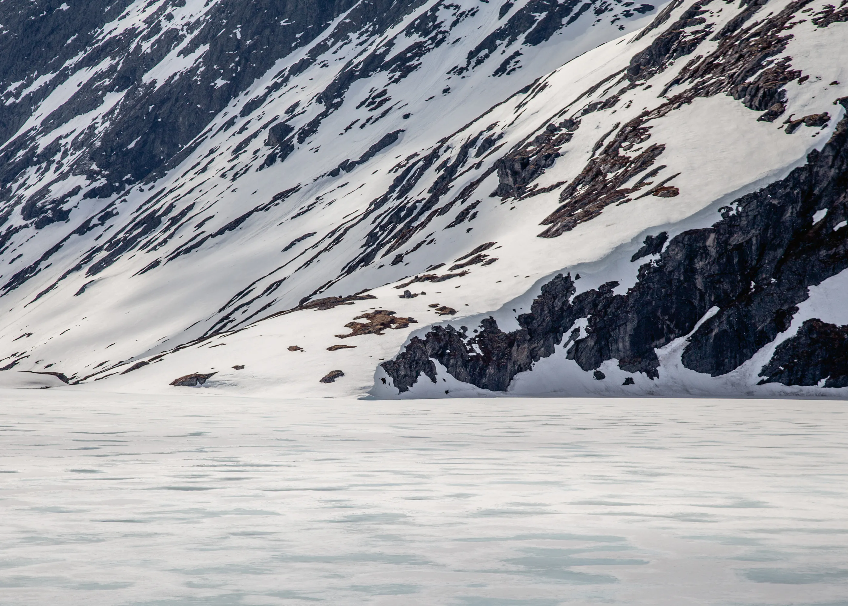 Frozen Wilderness Poster 0