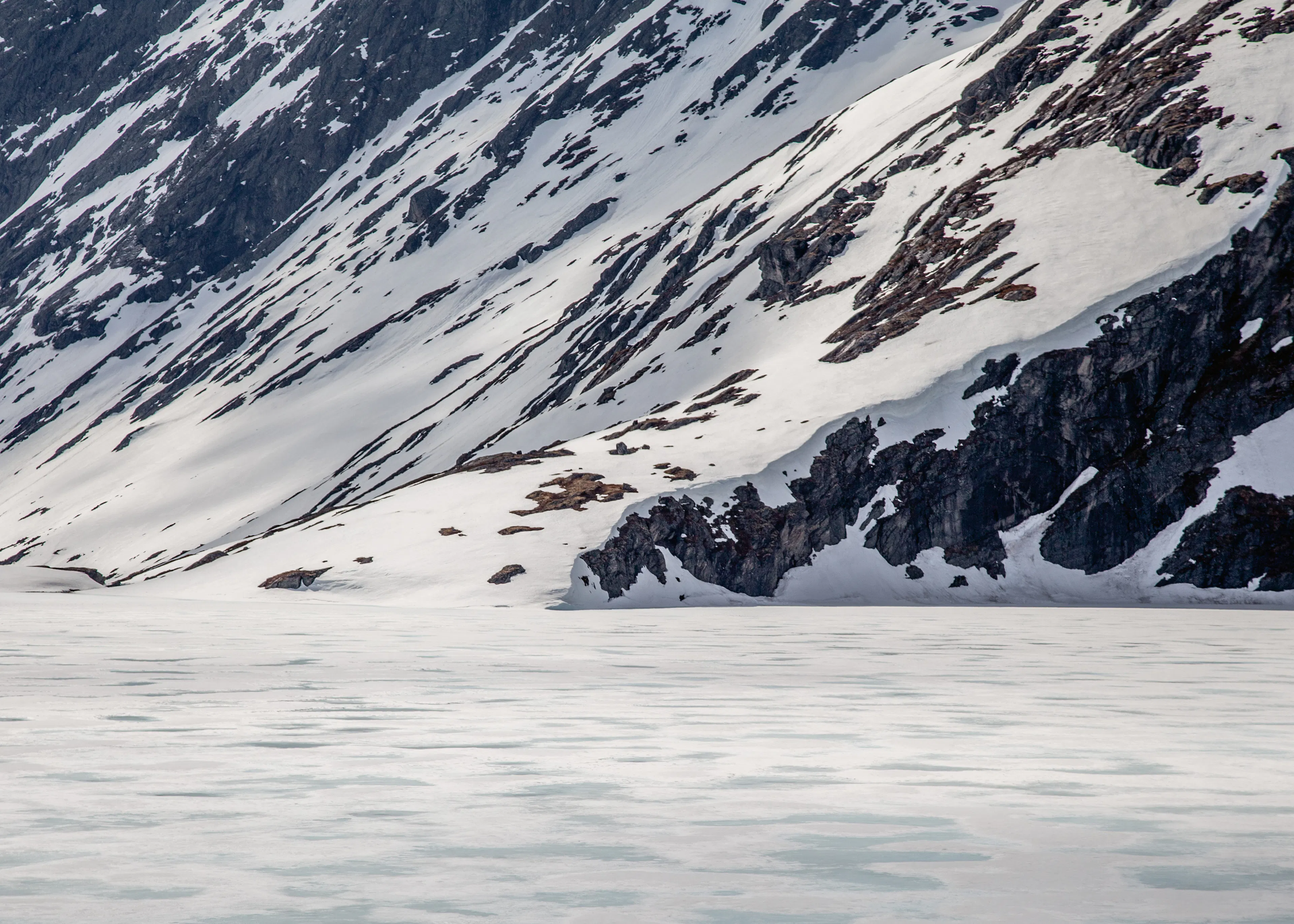 Nature Sauvage Glaciale Poster 0